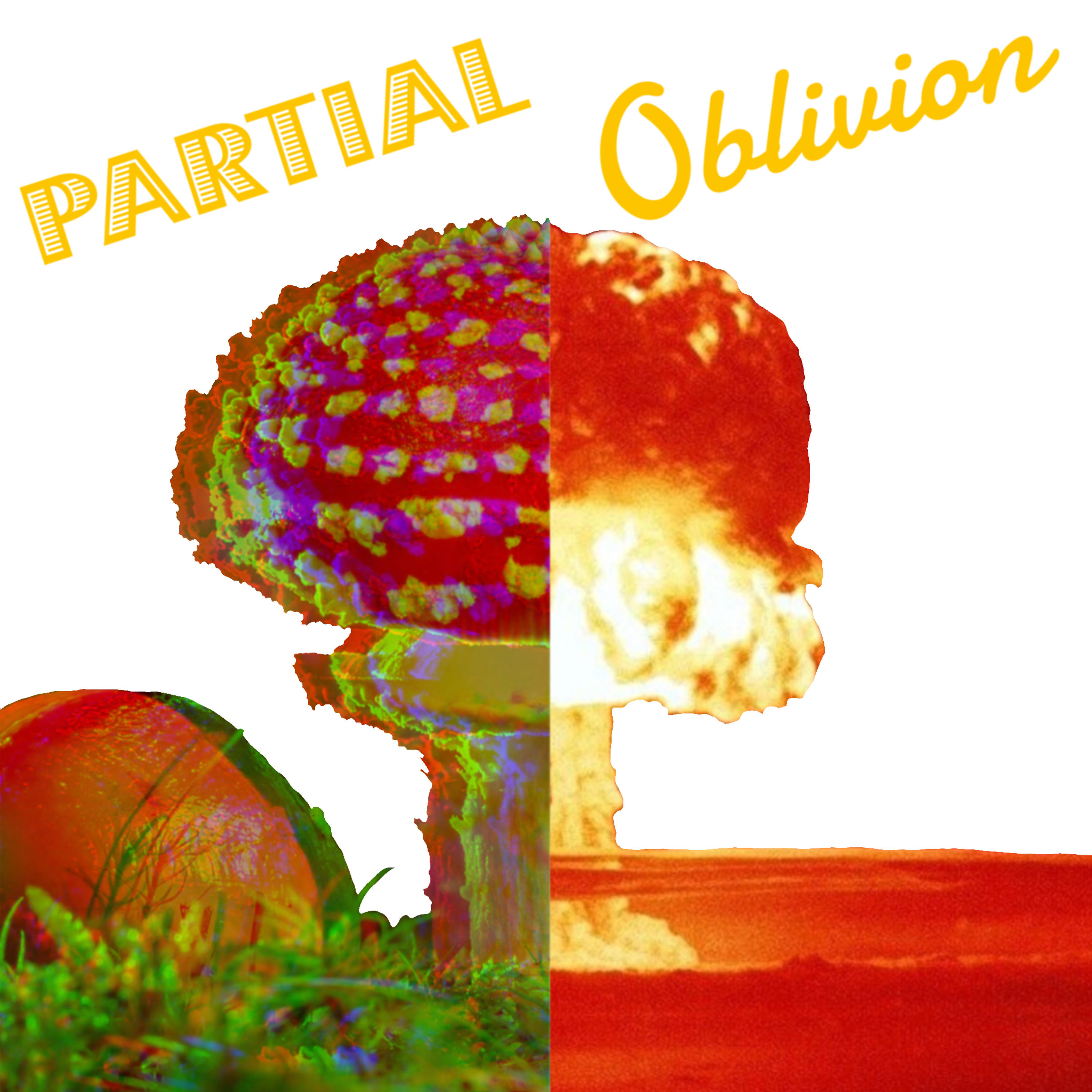Partial Oblivion | Case File 002 | Bunny Ear Dimension episode artwork