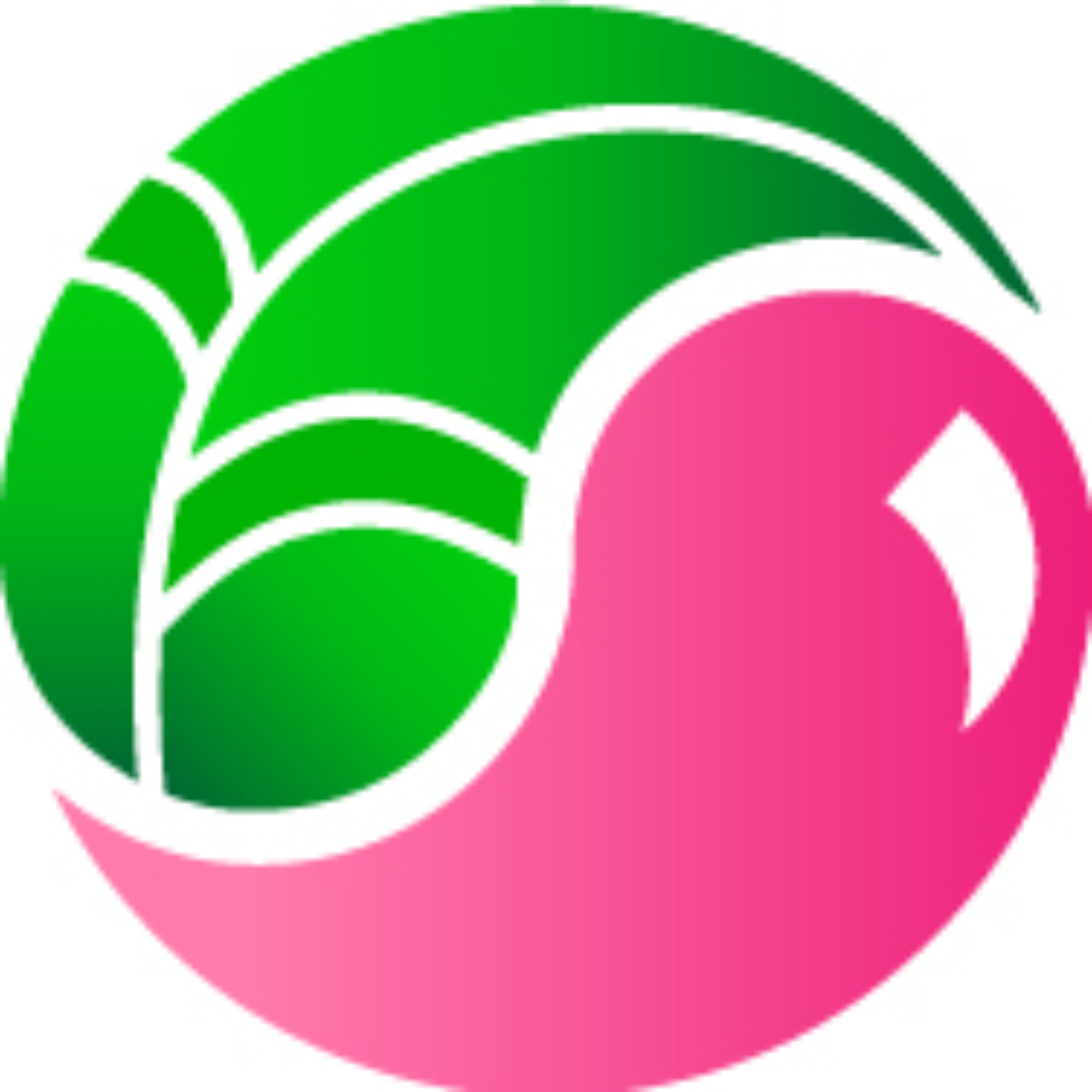 PurelyPlummer