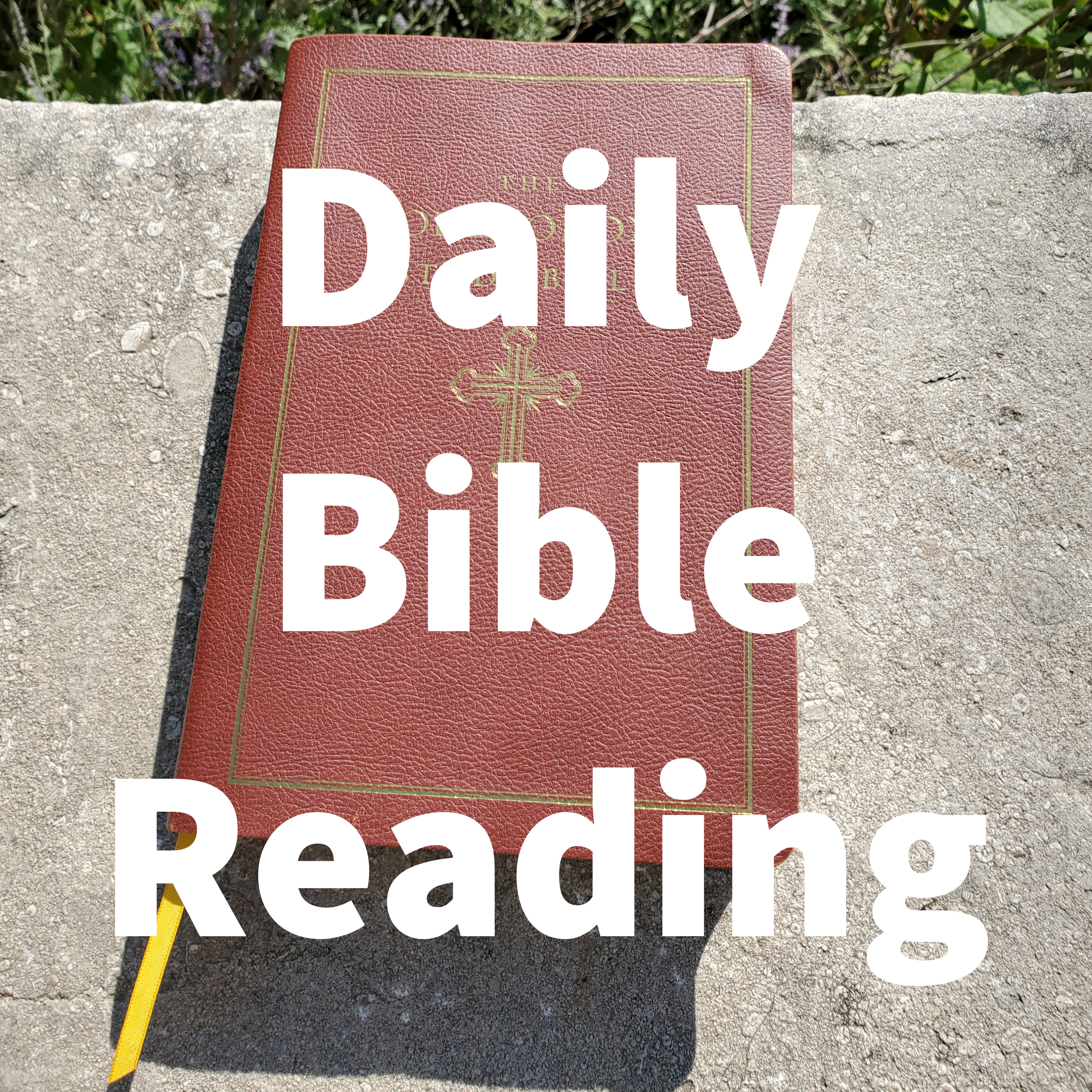 Daily Bible Reading - LXX podcast artwork