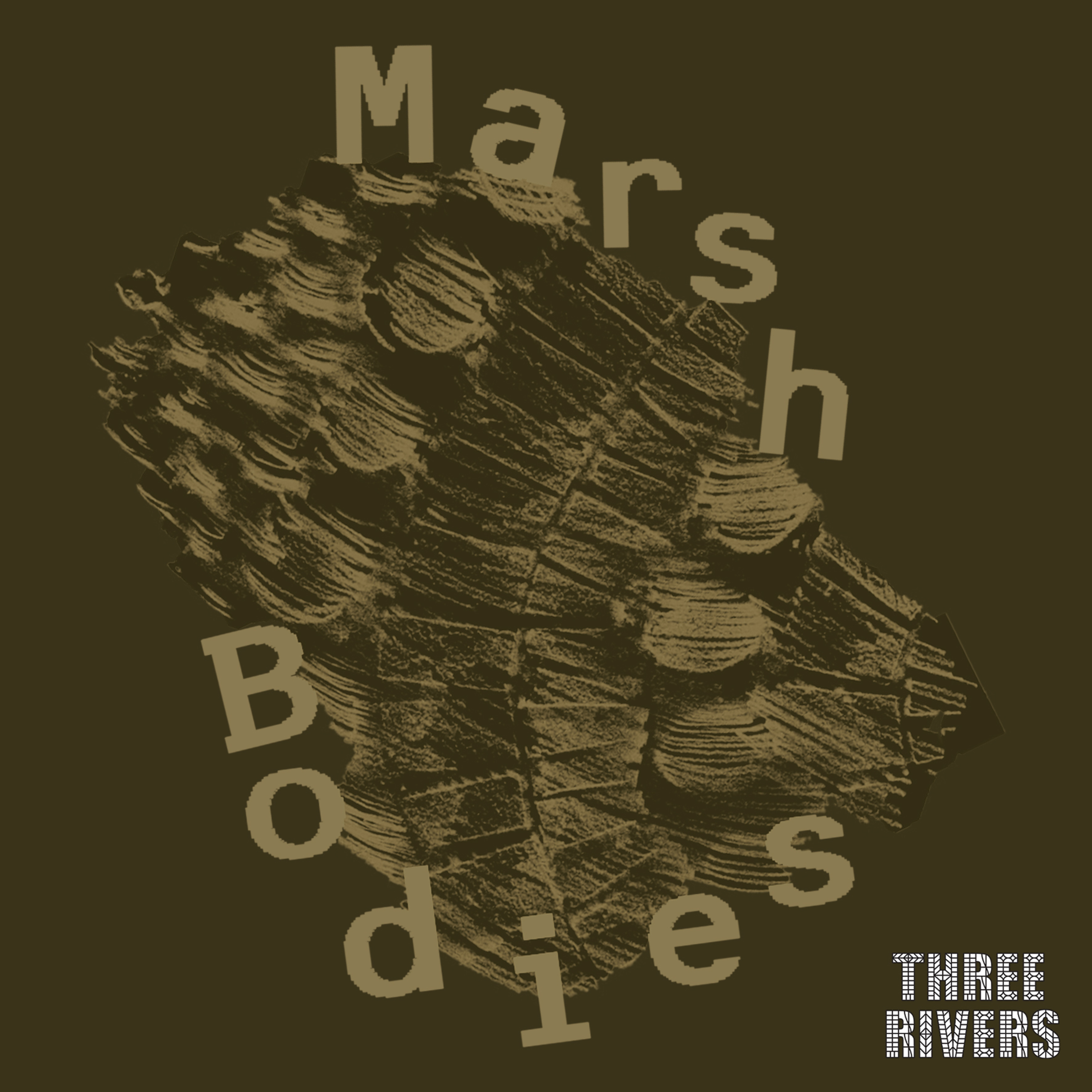 MARSH BODIES