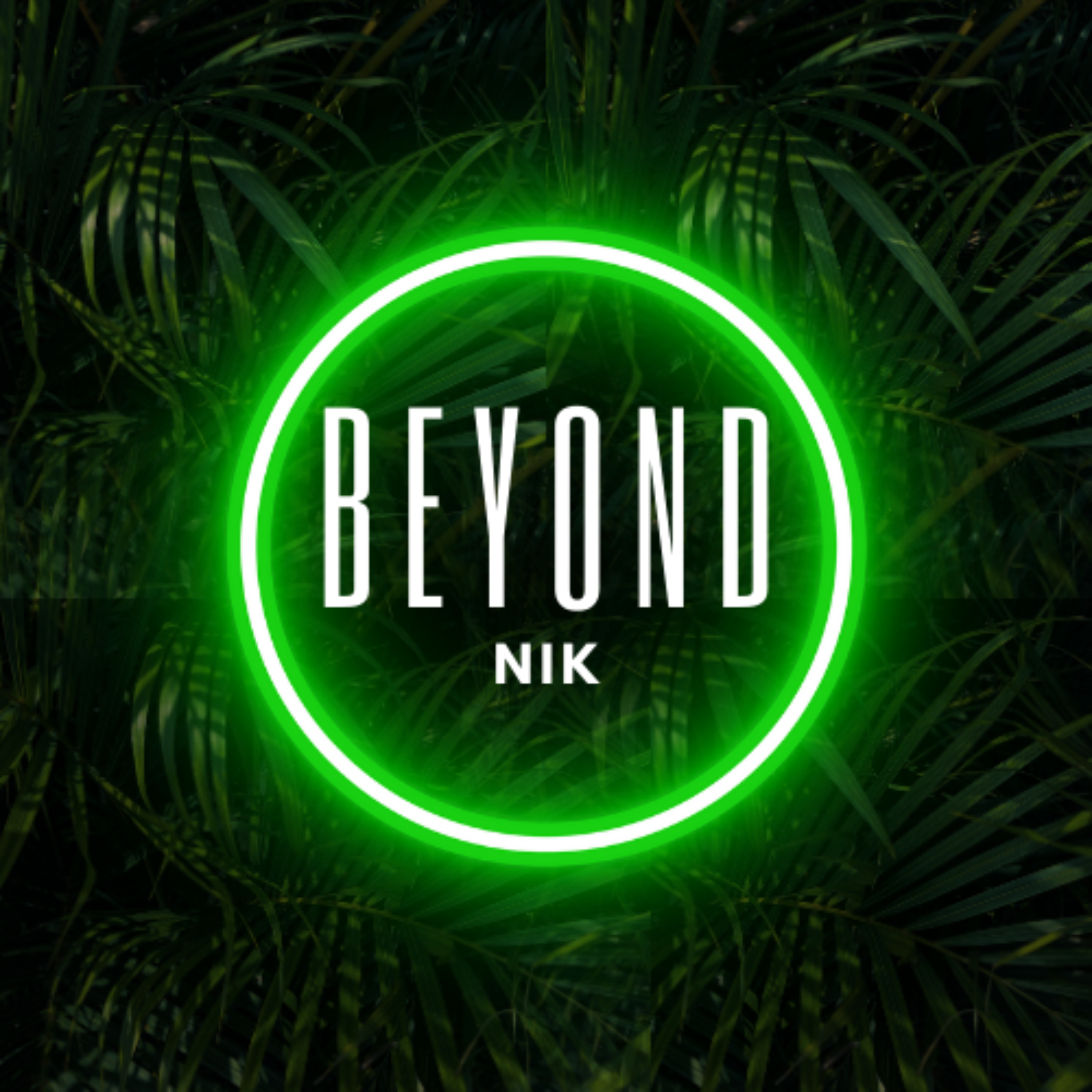 Beyond Nik