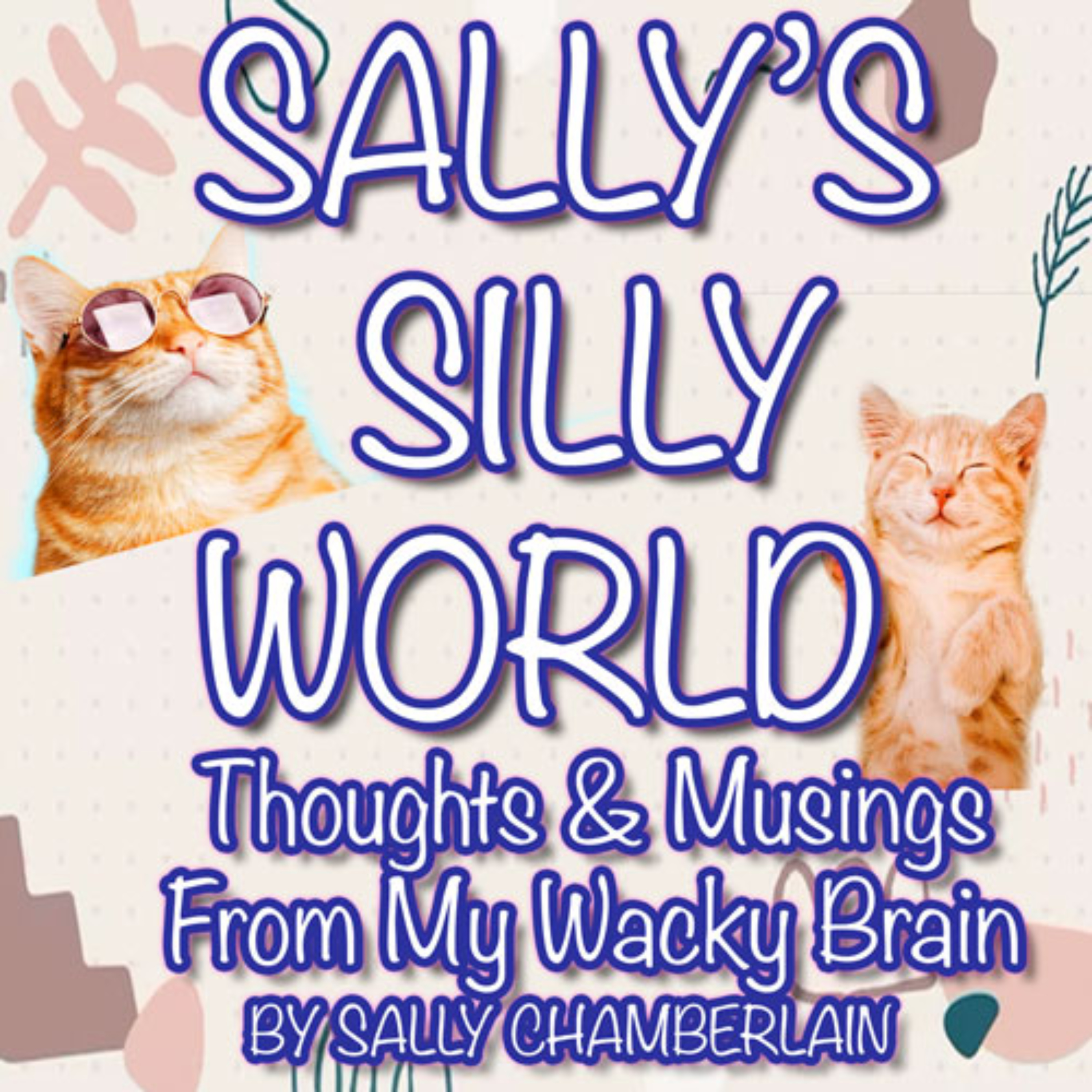 Sally's Silly World