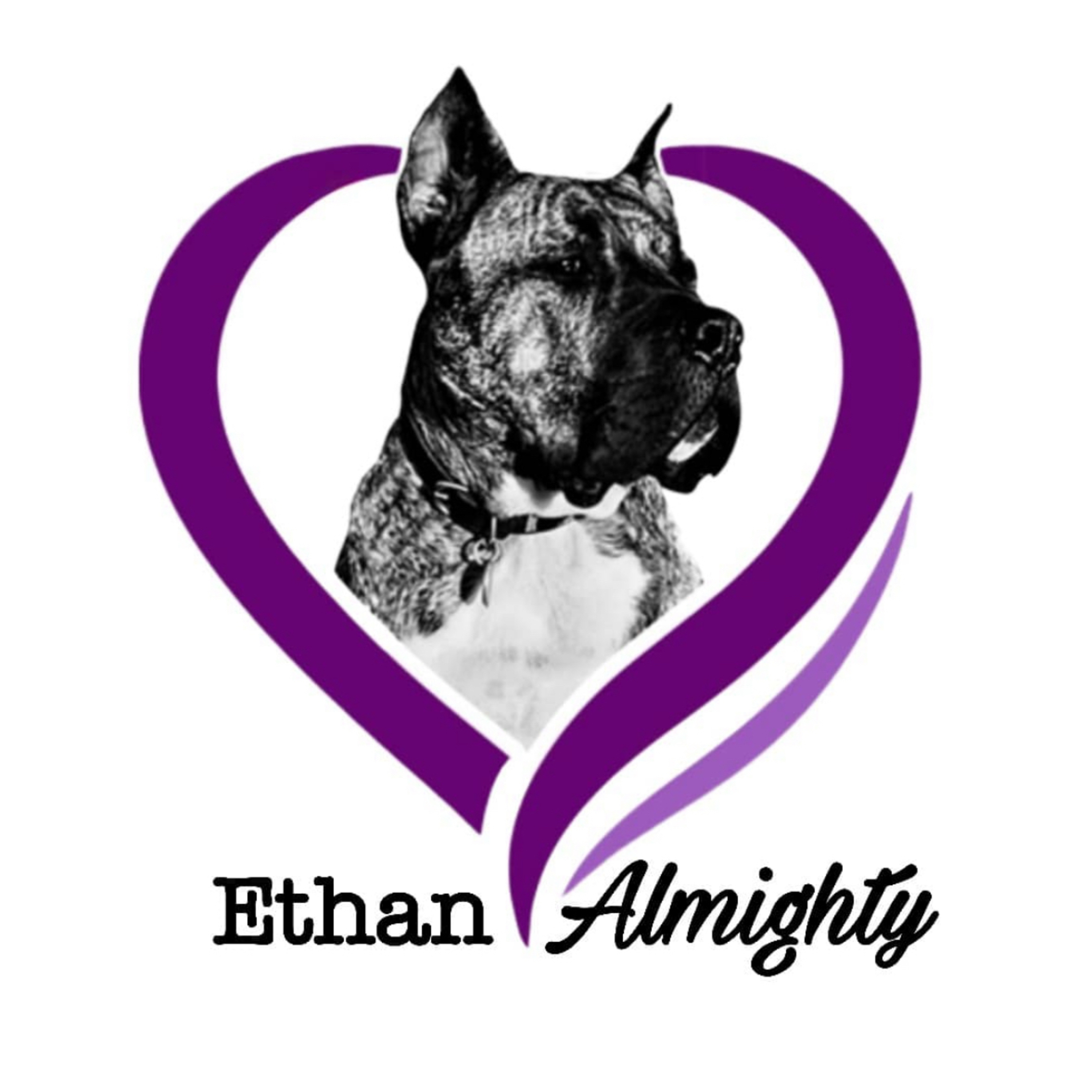 EthanLive podcast artwork