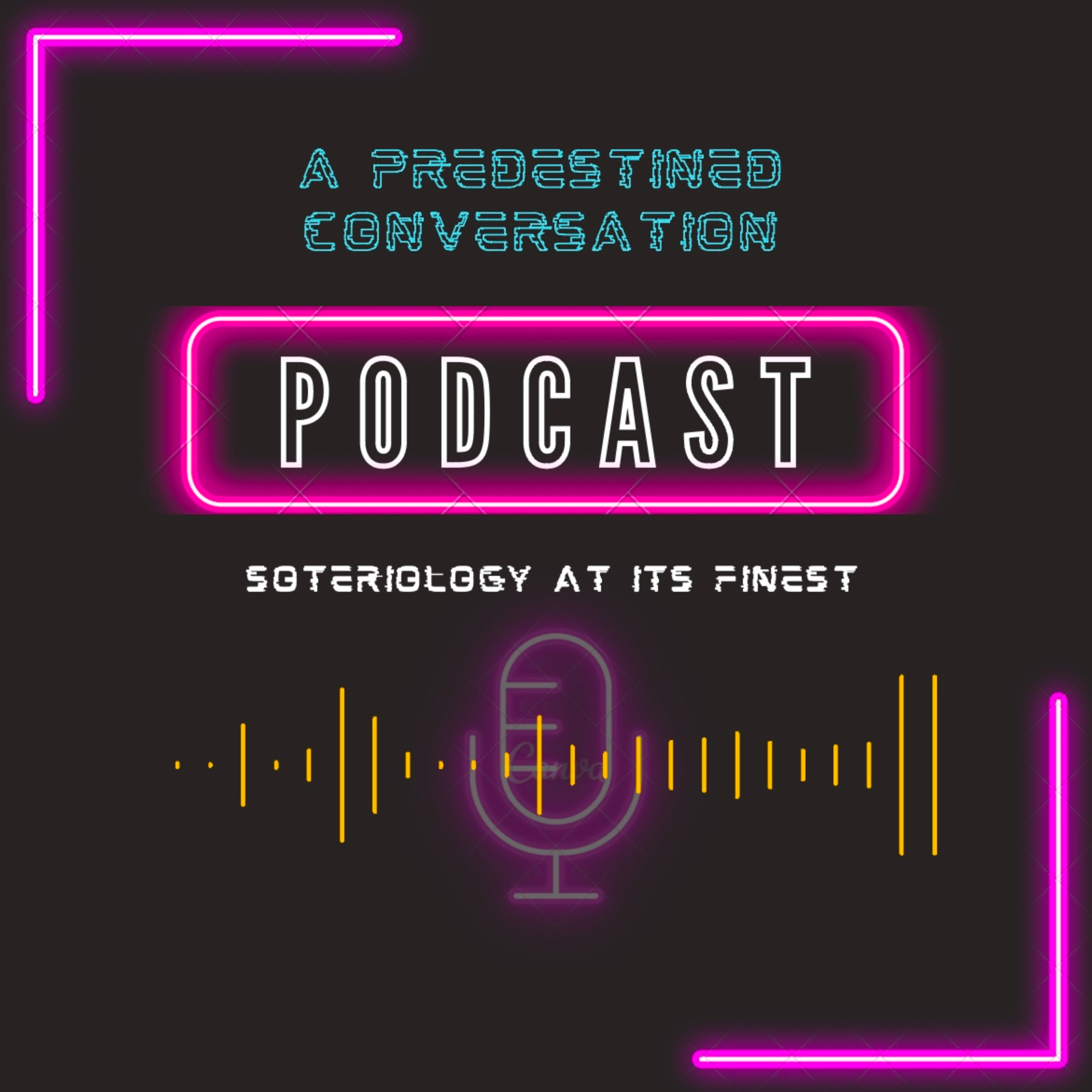 A Predestined Conversation podcast artwork