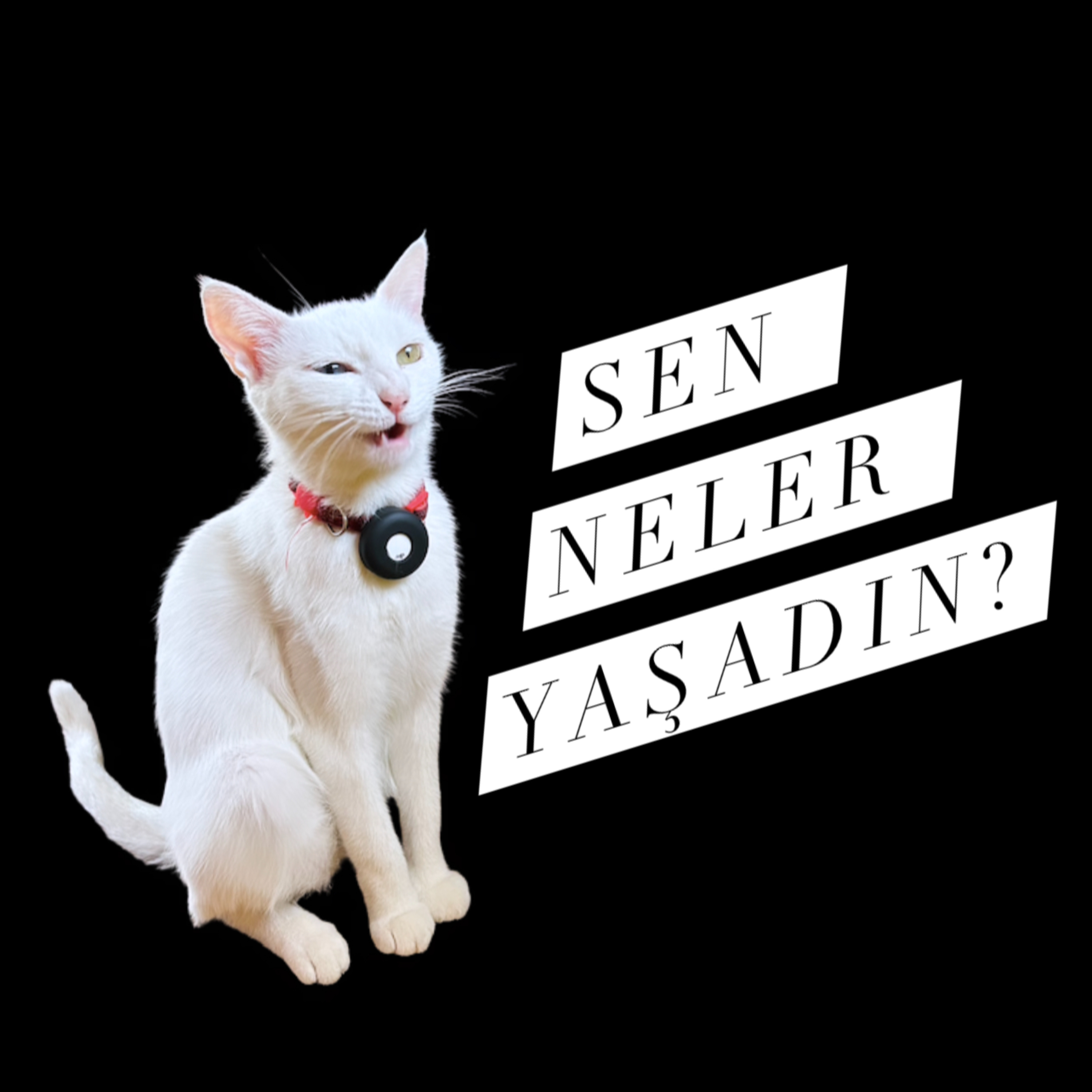 Sen Neler Yaşadın?
