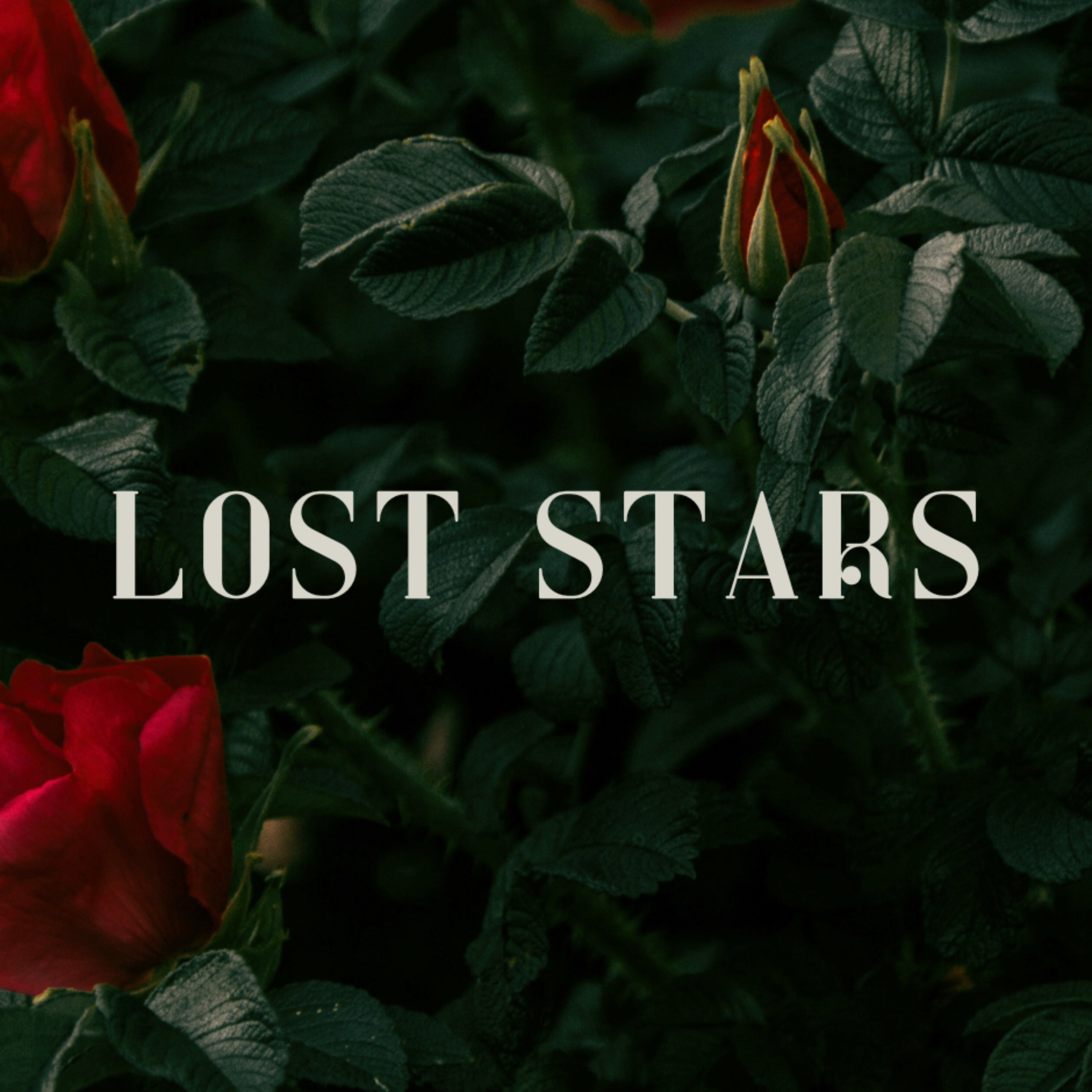 Lost Stars