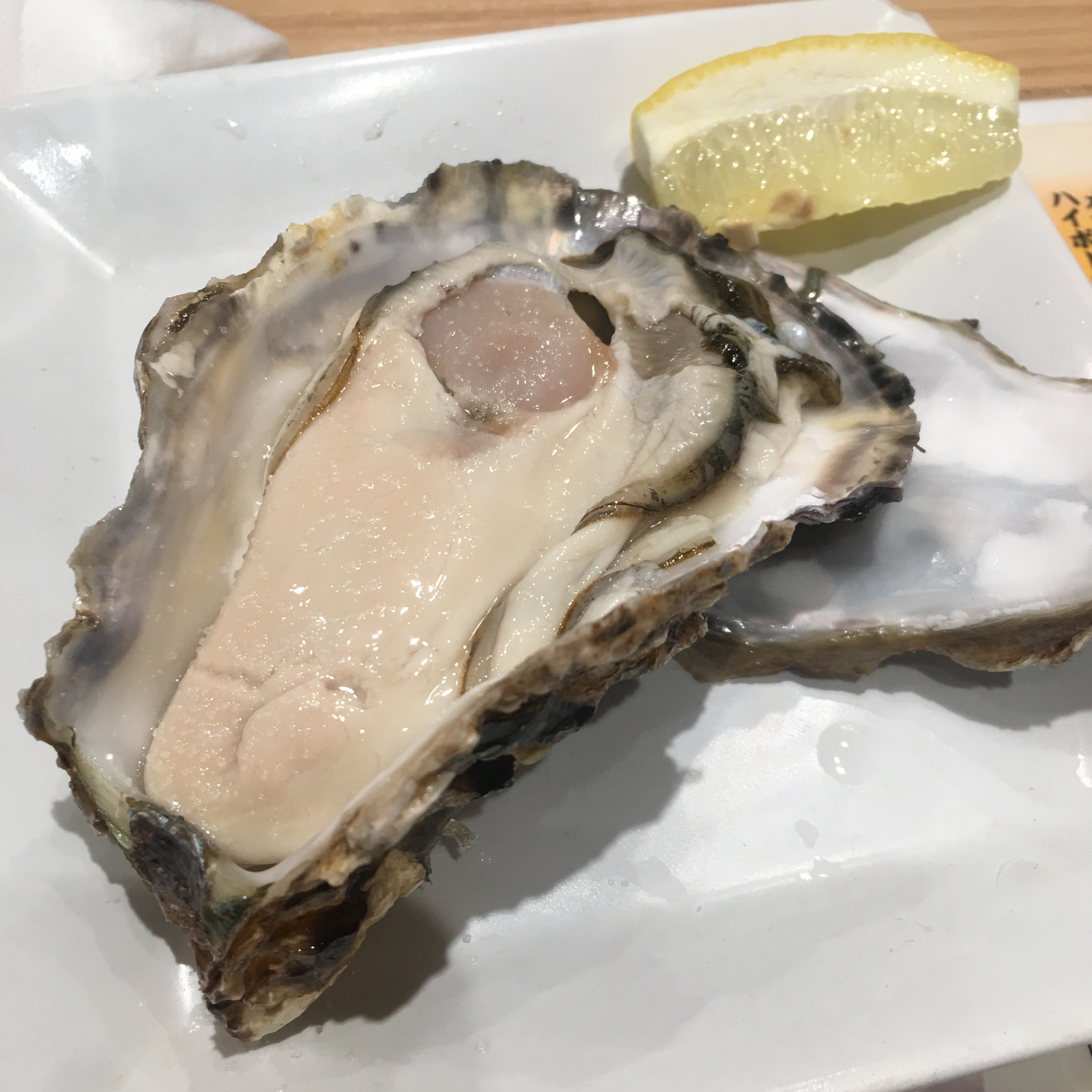 在澳洲流浪的菜菜