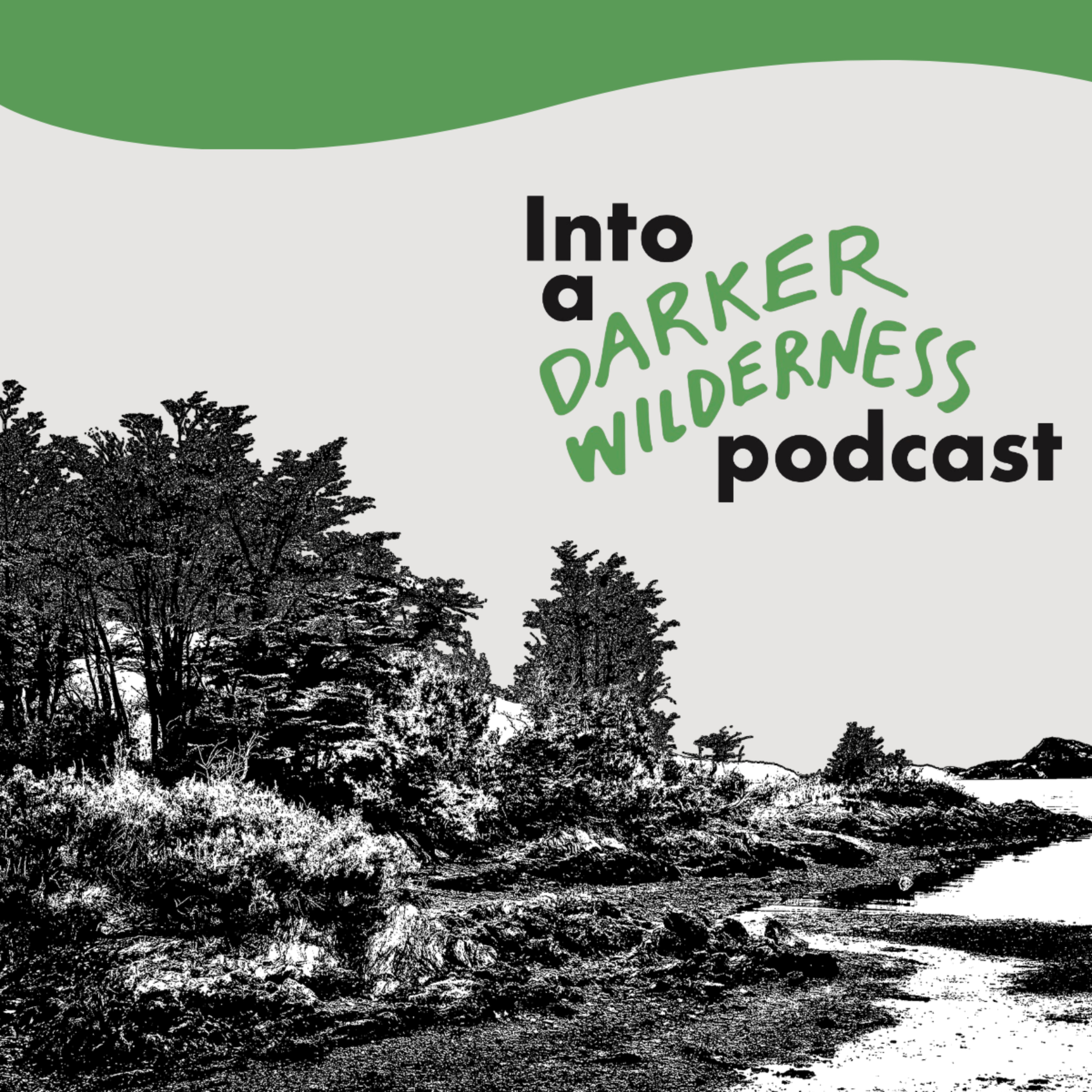 Into a Darker Wilderness