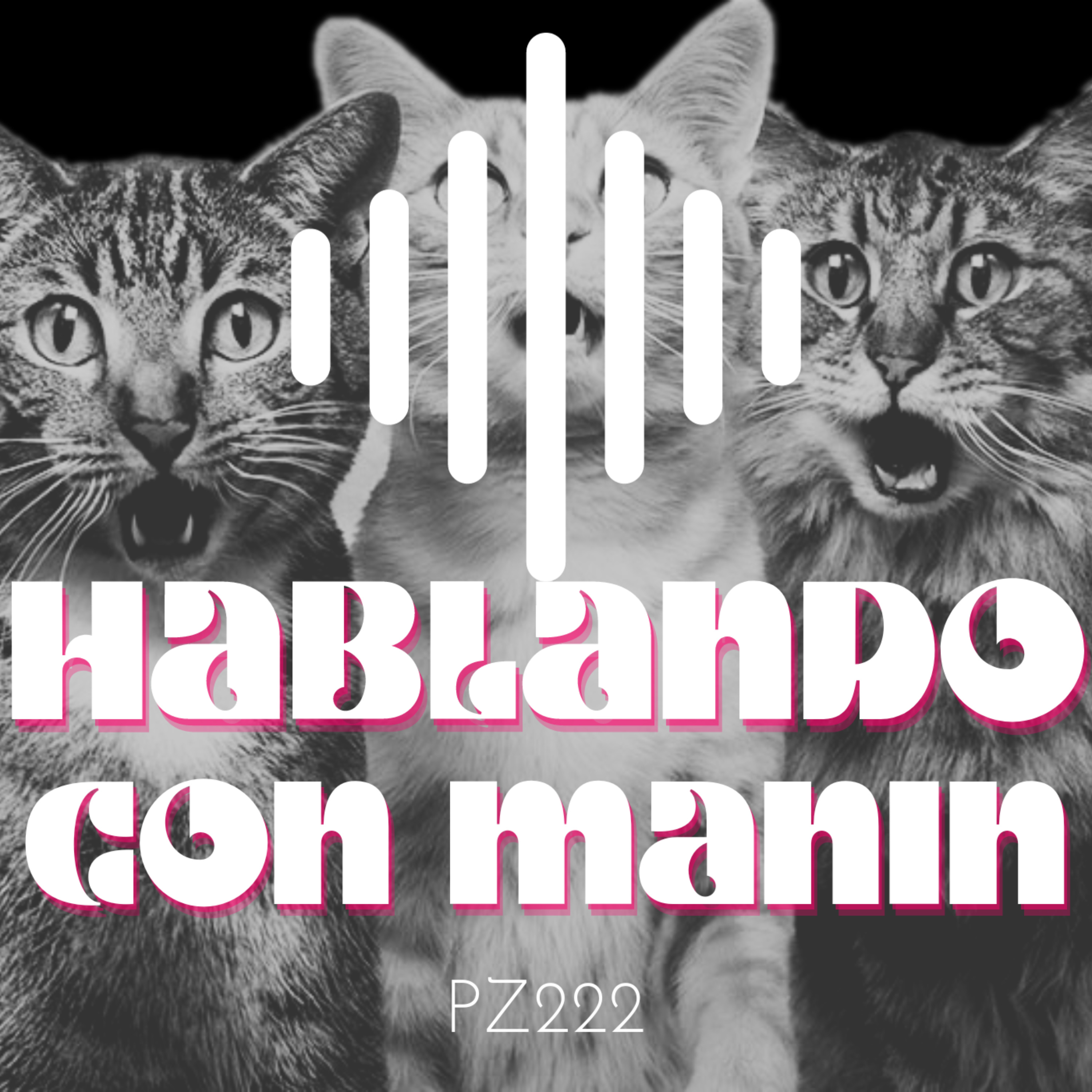 Hablando con Manin podcast artwork