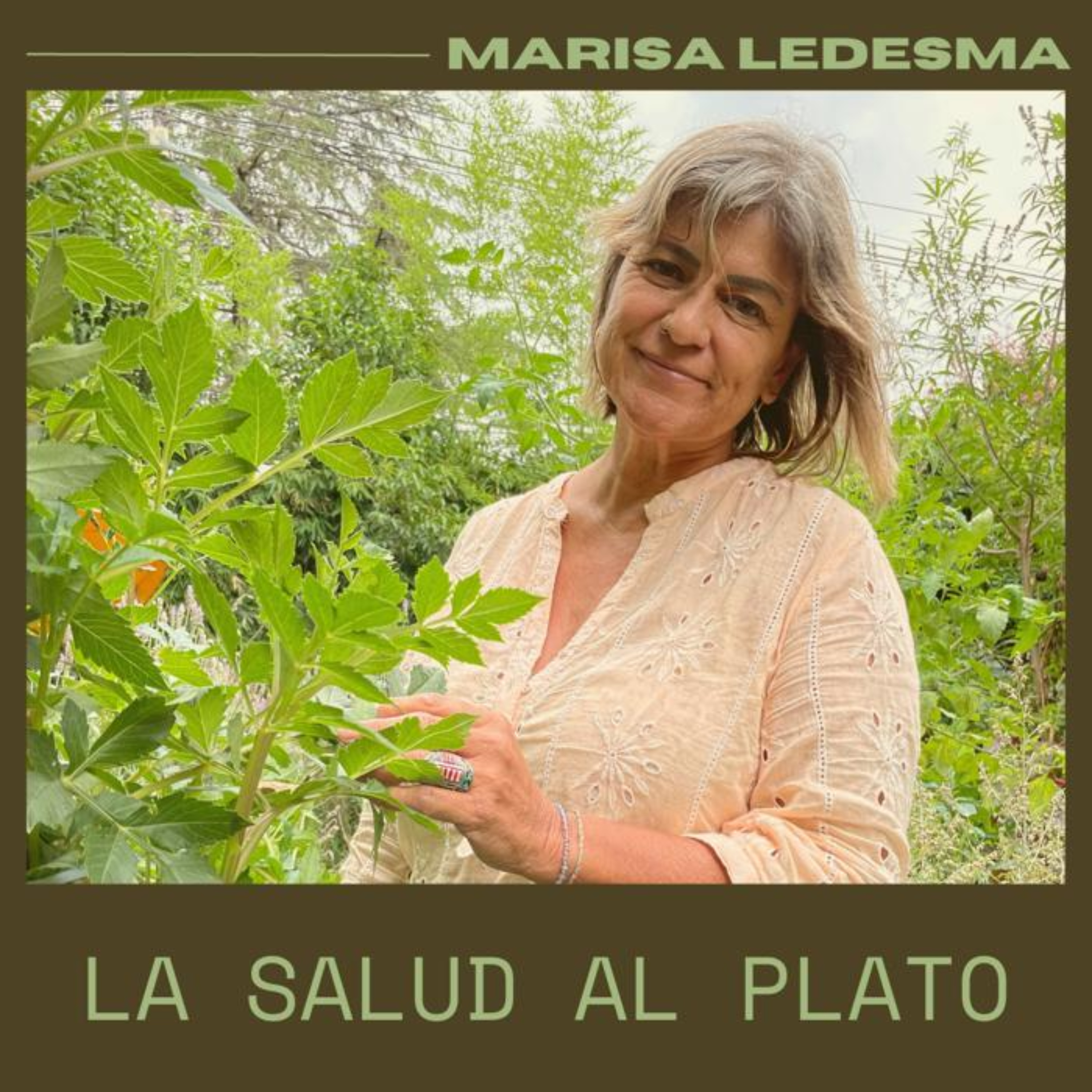La salud al plato