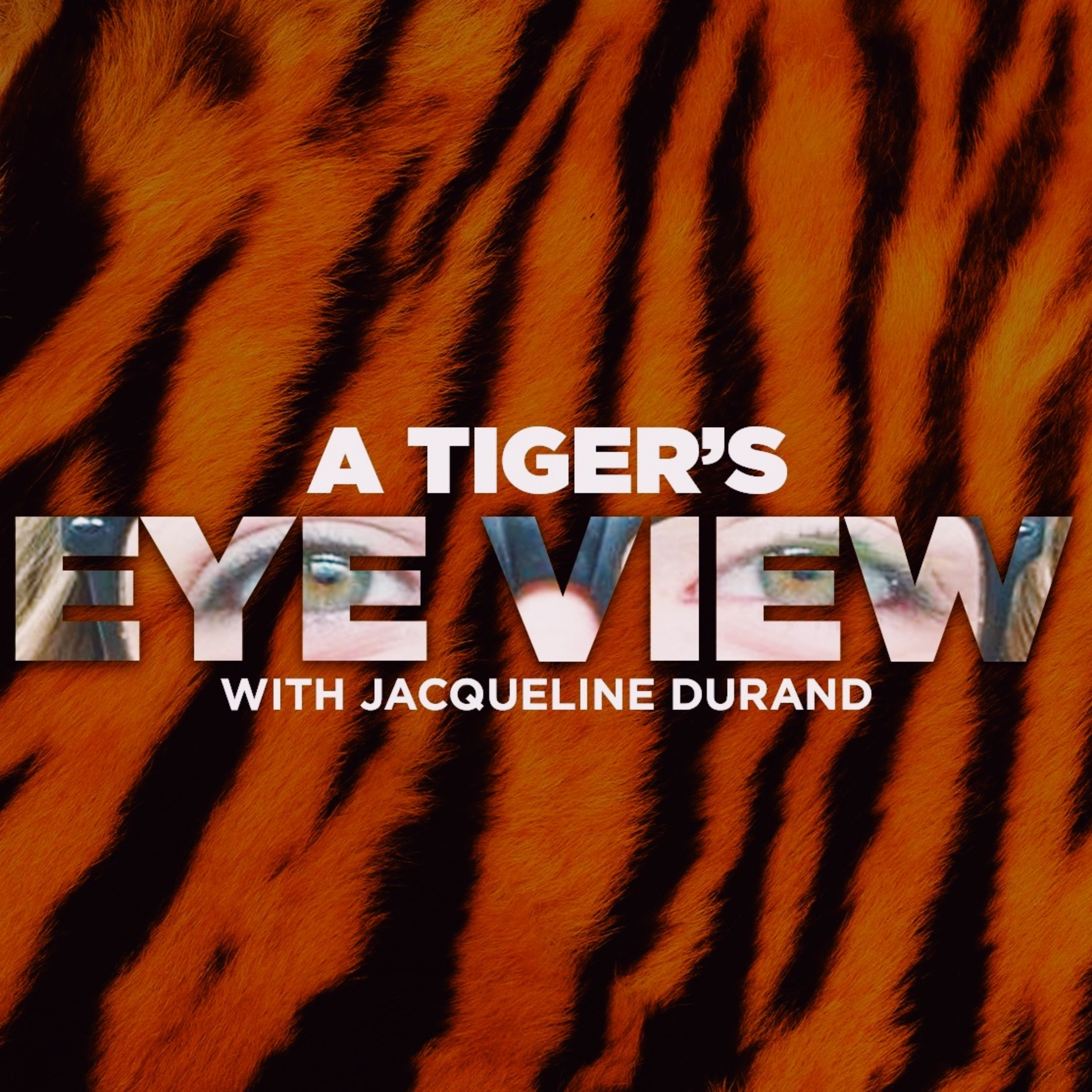 A Tiger's Eye View