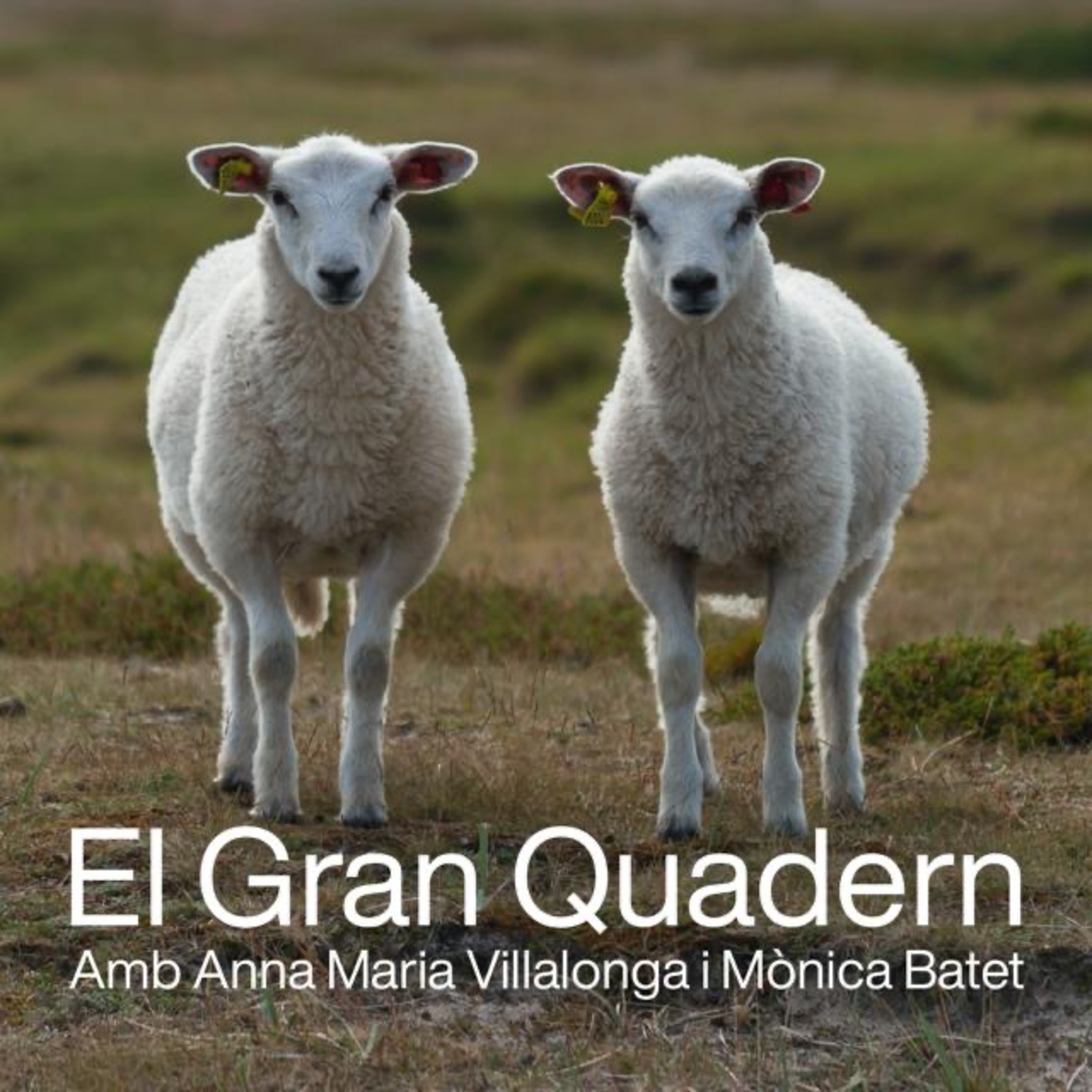 El Gran Quadern