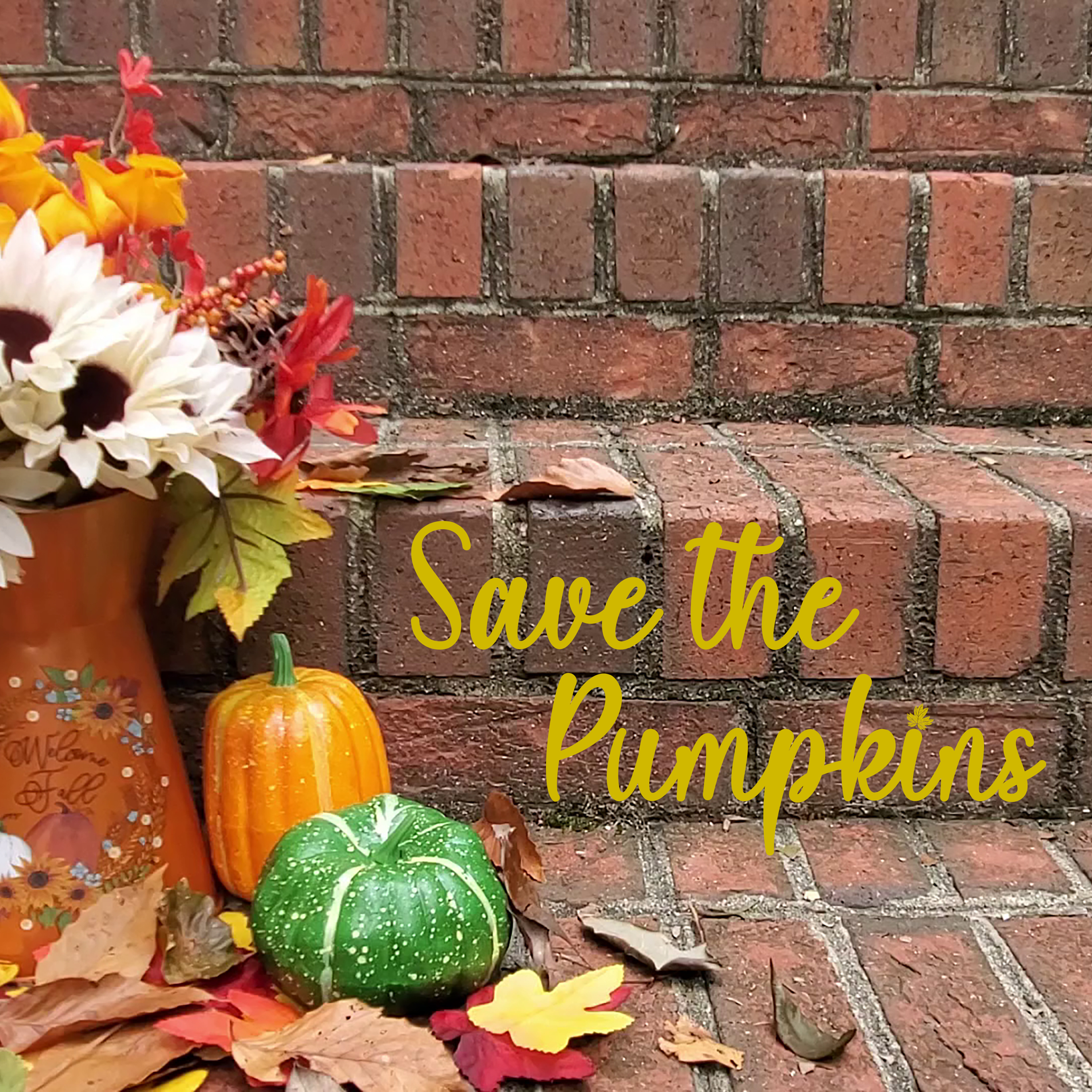 Save the Pumpkins
