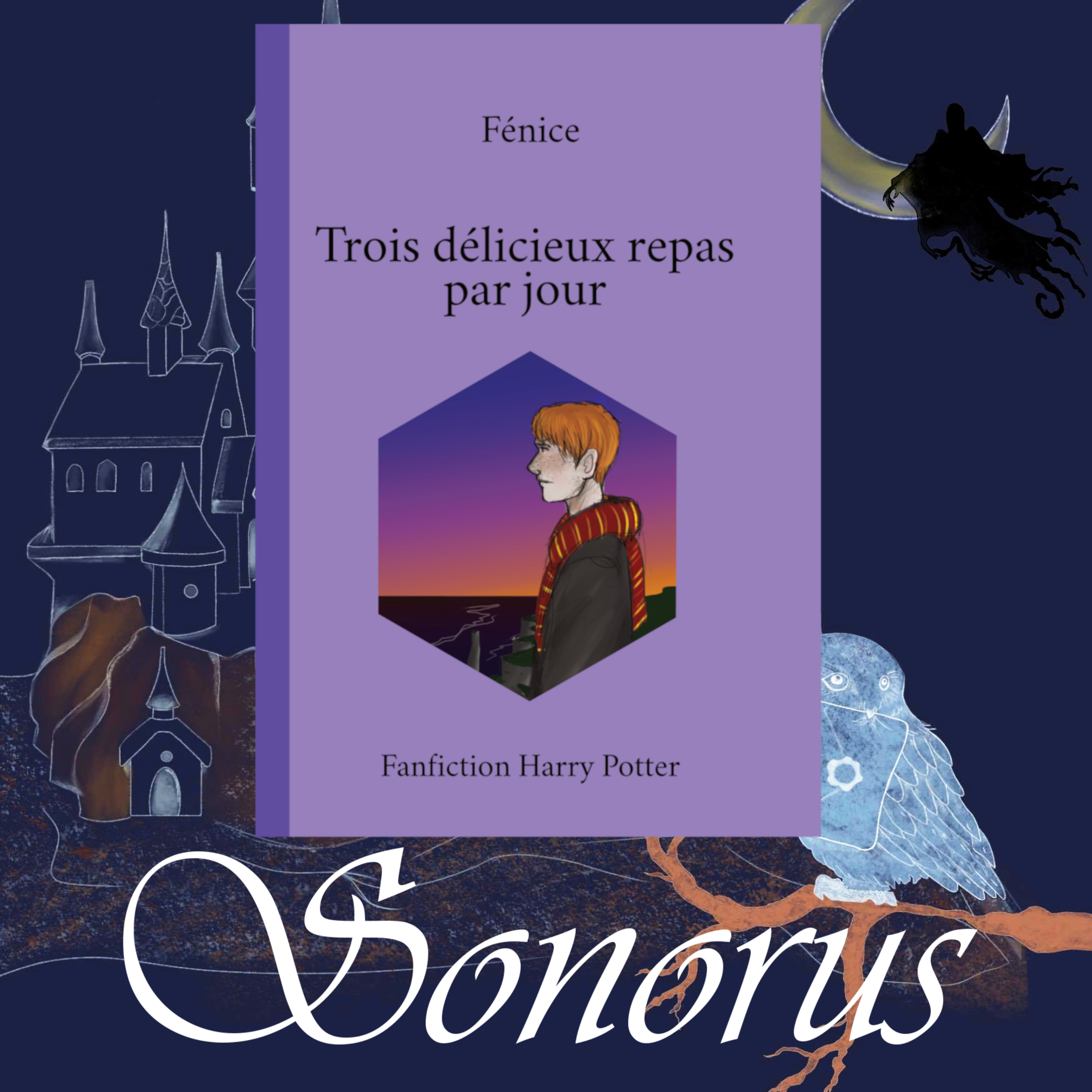 Sonorus - Trois délicieux repas par jour