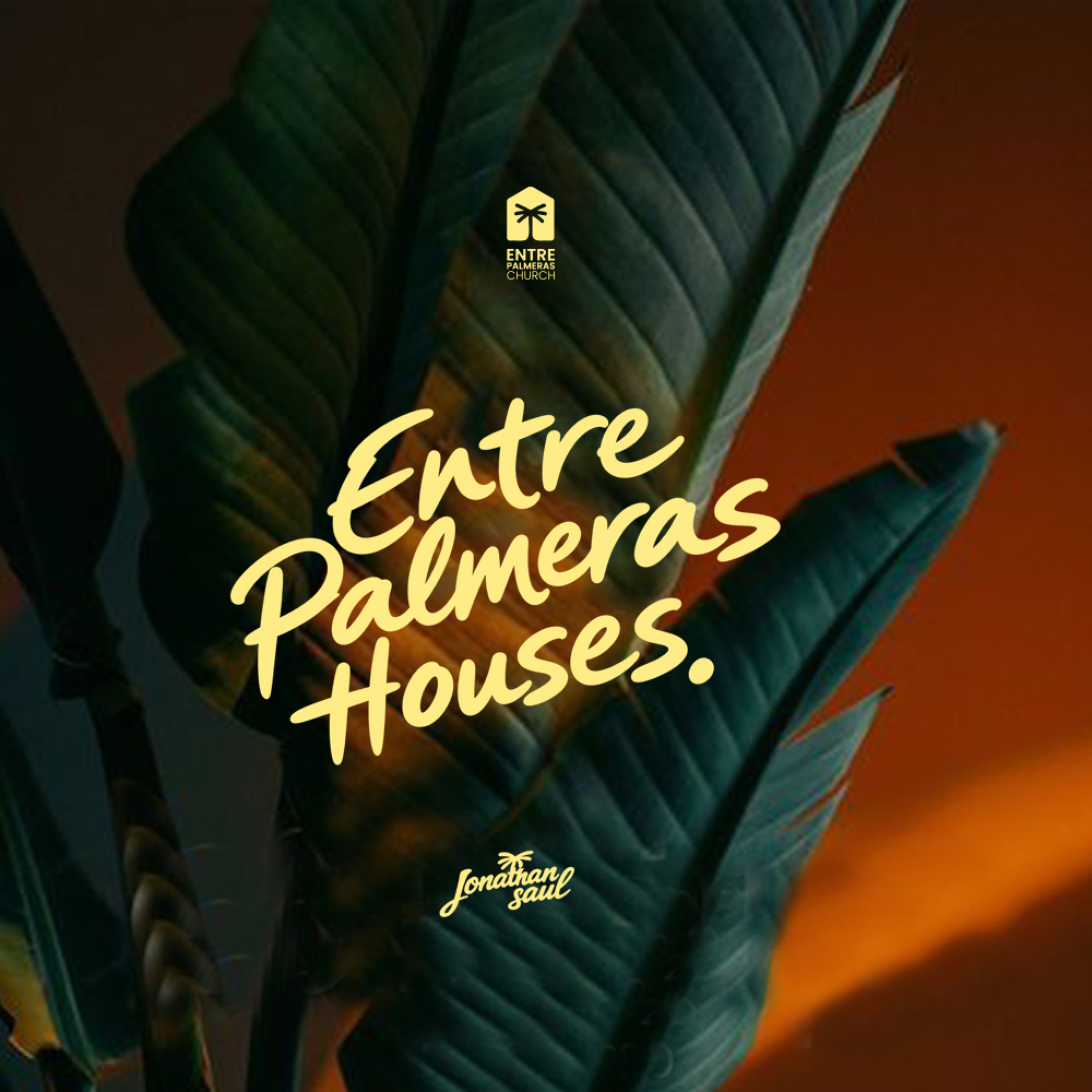 Portada de Entre Palmeras 🌴