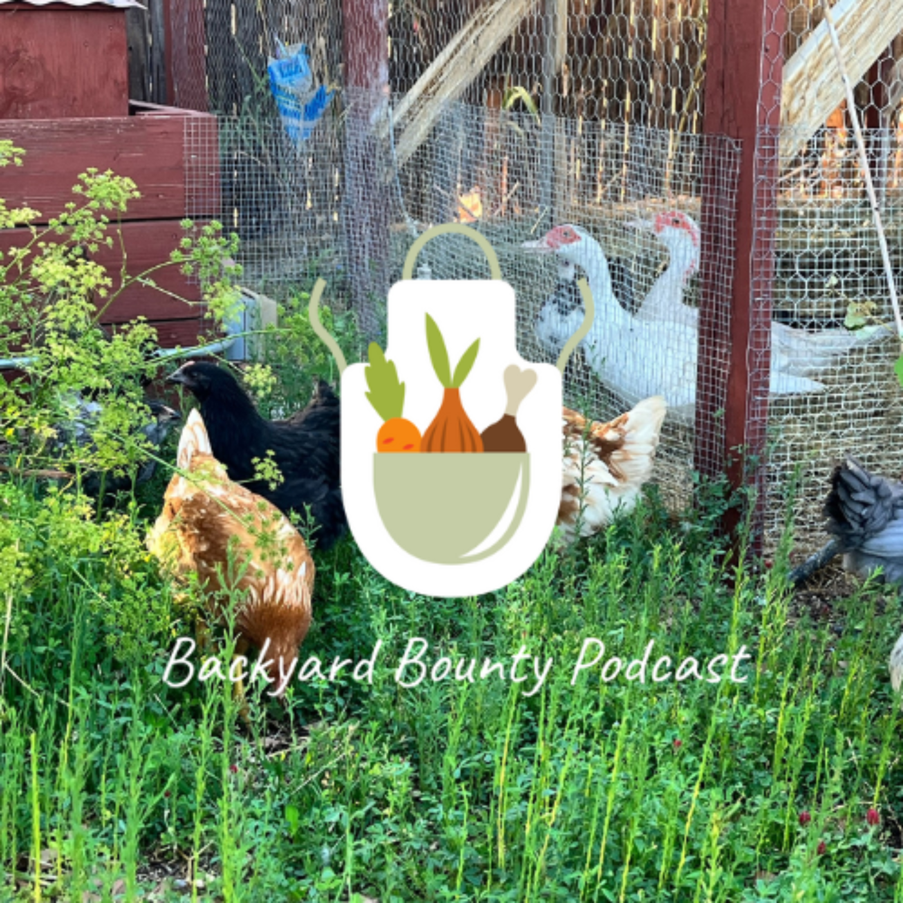 Backyard Bounty podcast artwork