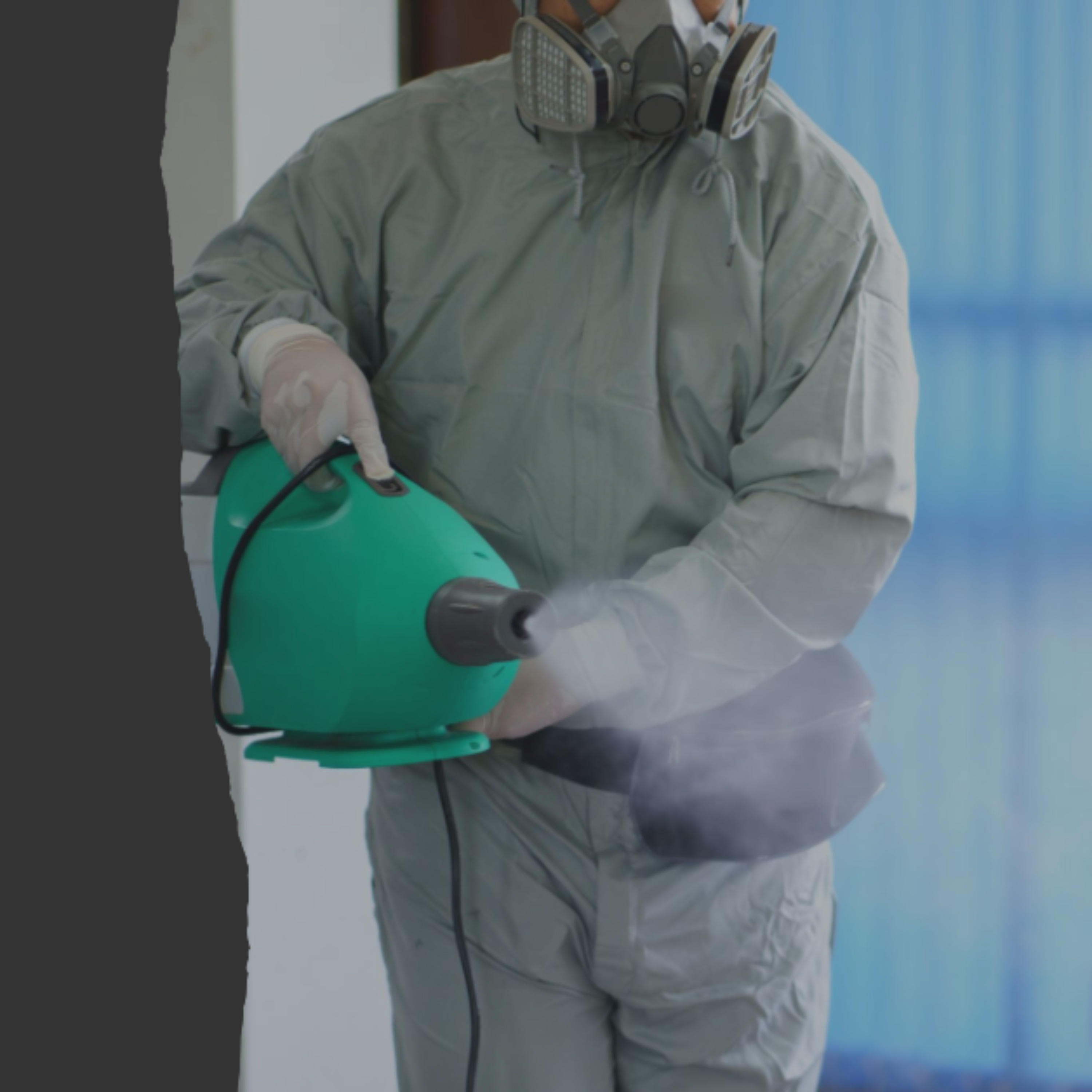 Bugwise Pest Control