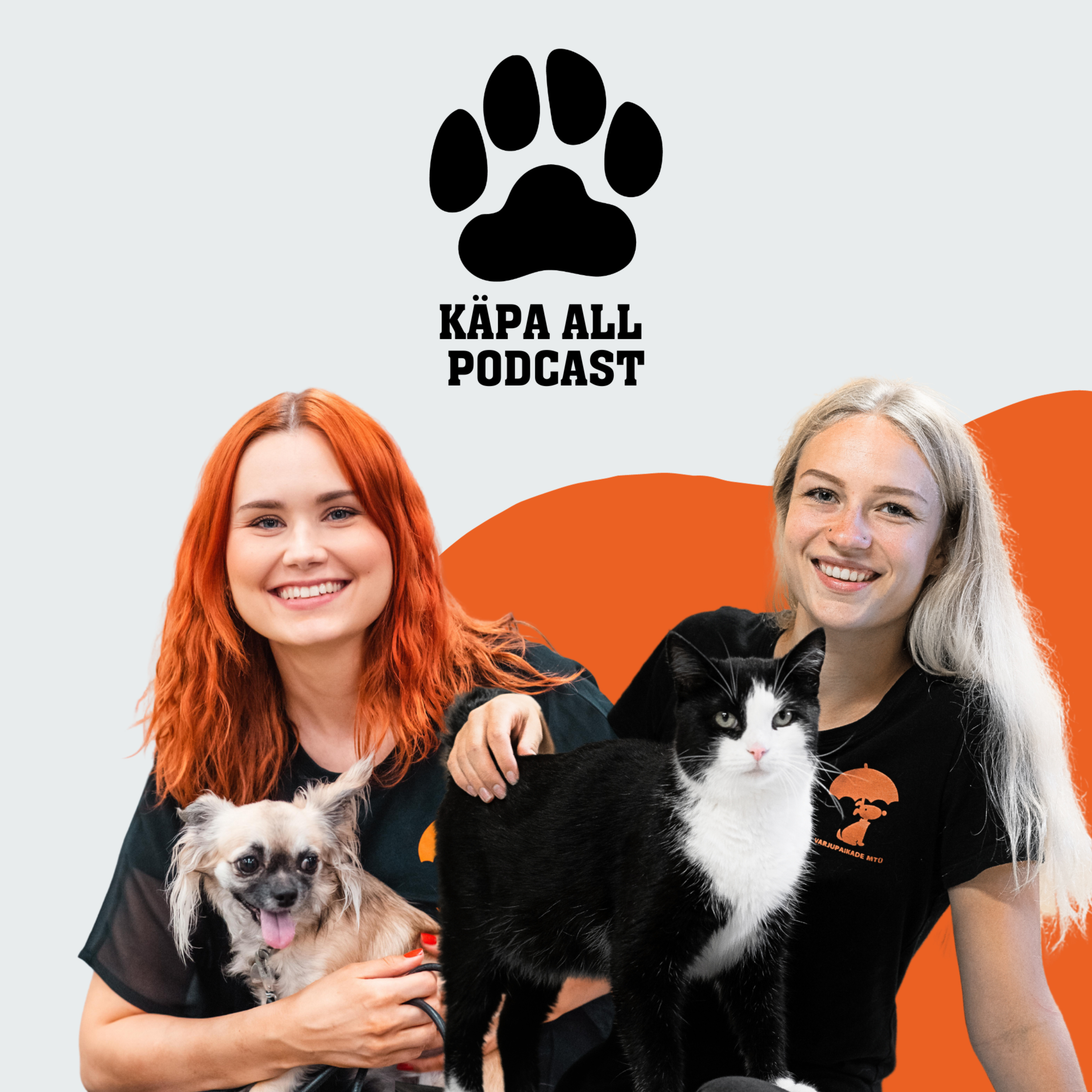Käpa all podcast podcast artwork