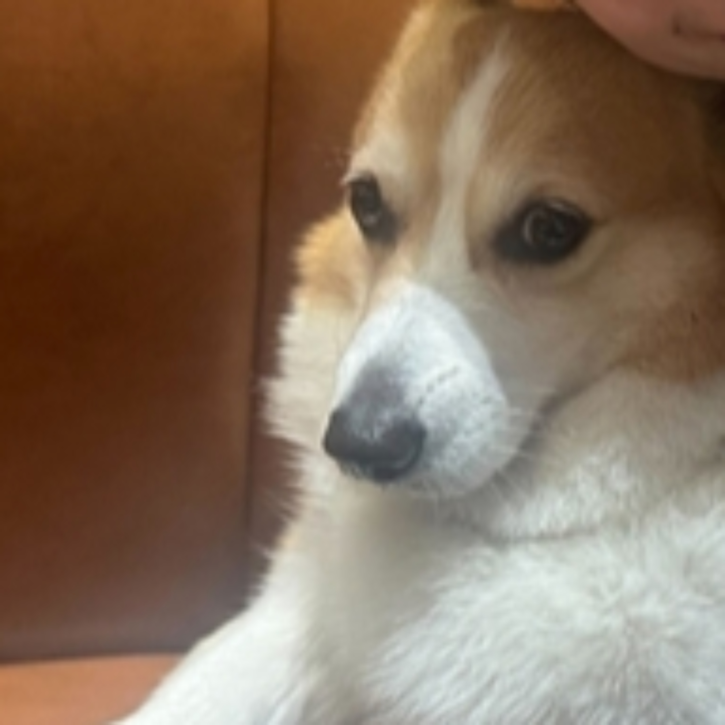 書を捨てよ、ガチで生きよ