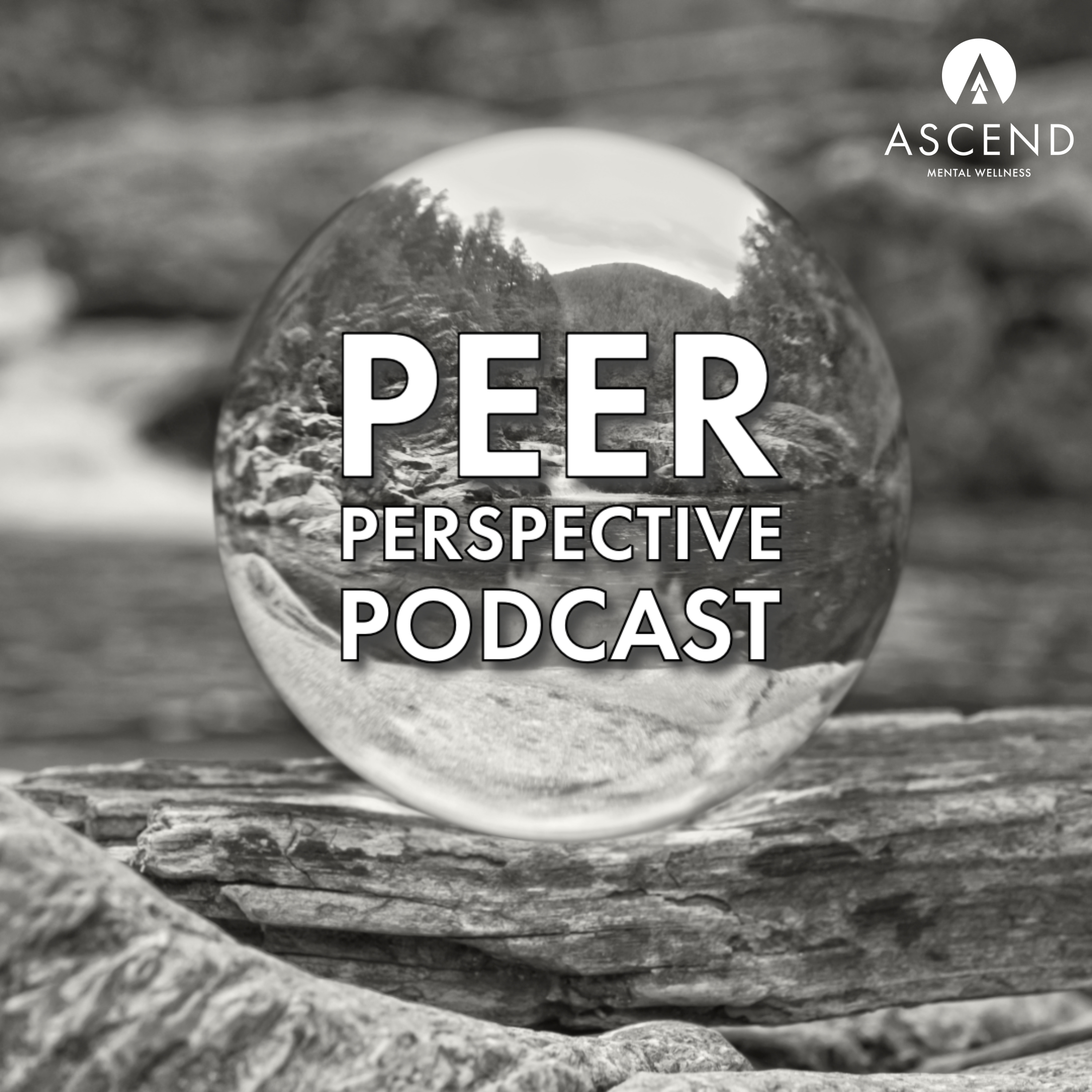 Peer Perspective