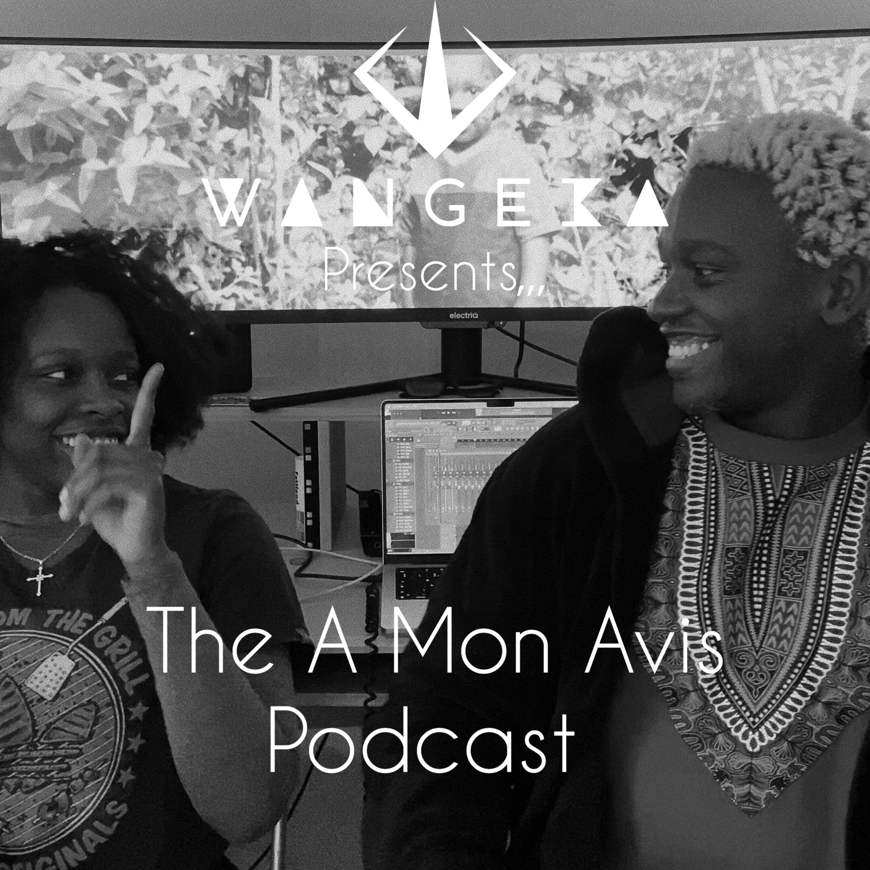 The A Mon Avis Podcast podcast artwork