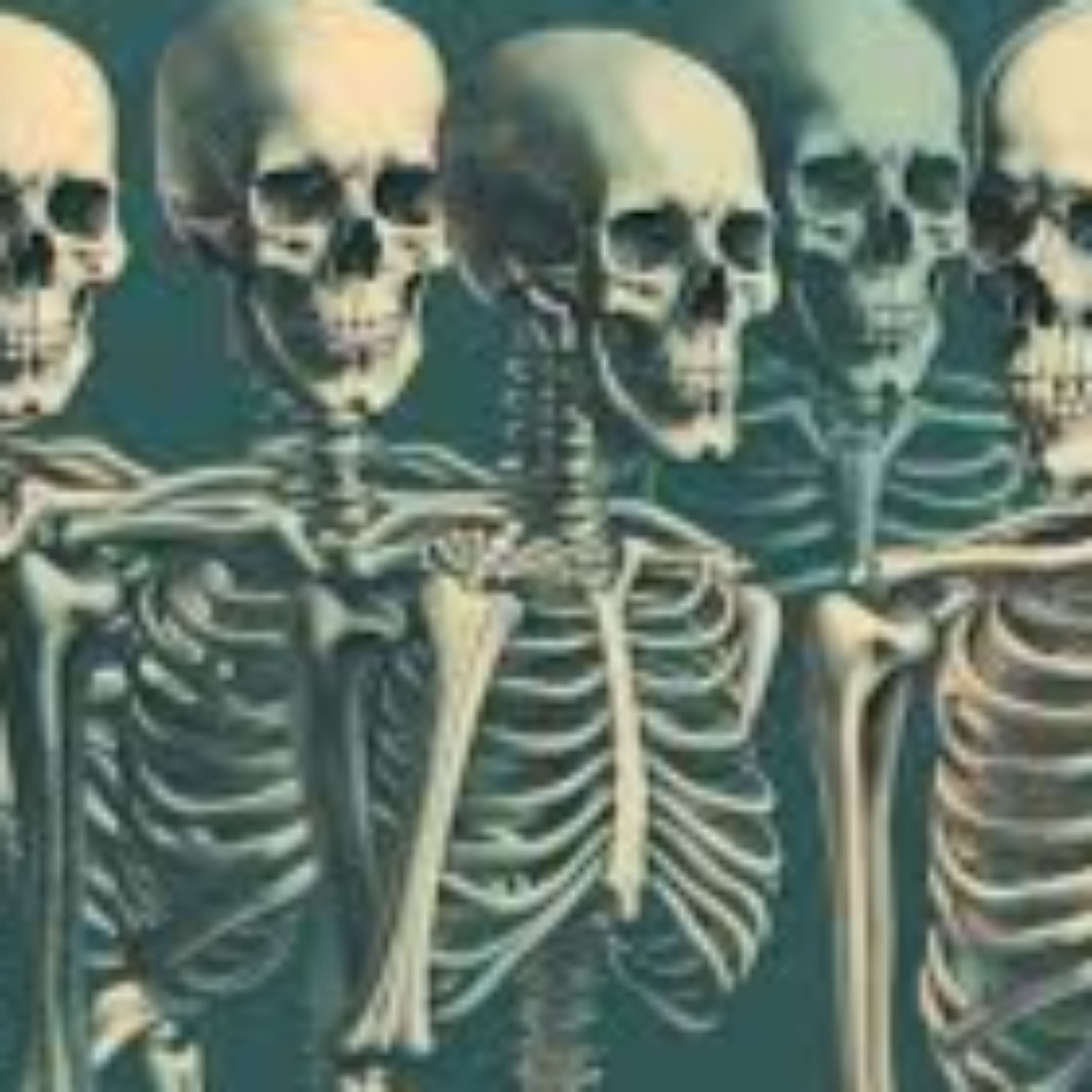 Seeing Your Skeleton podcast artwork