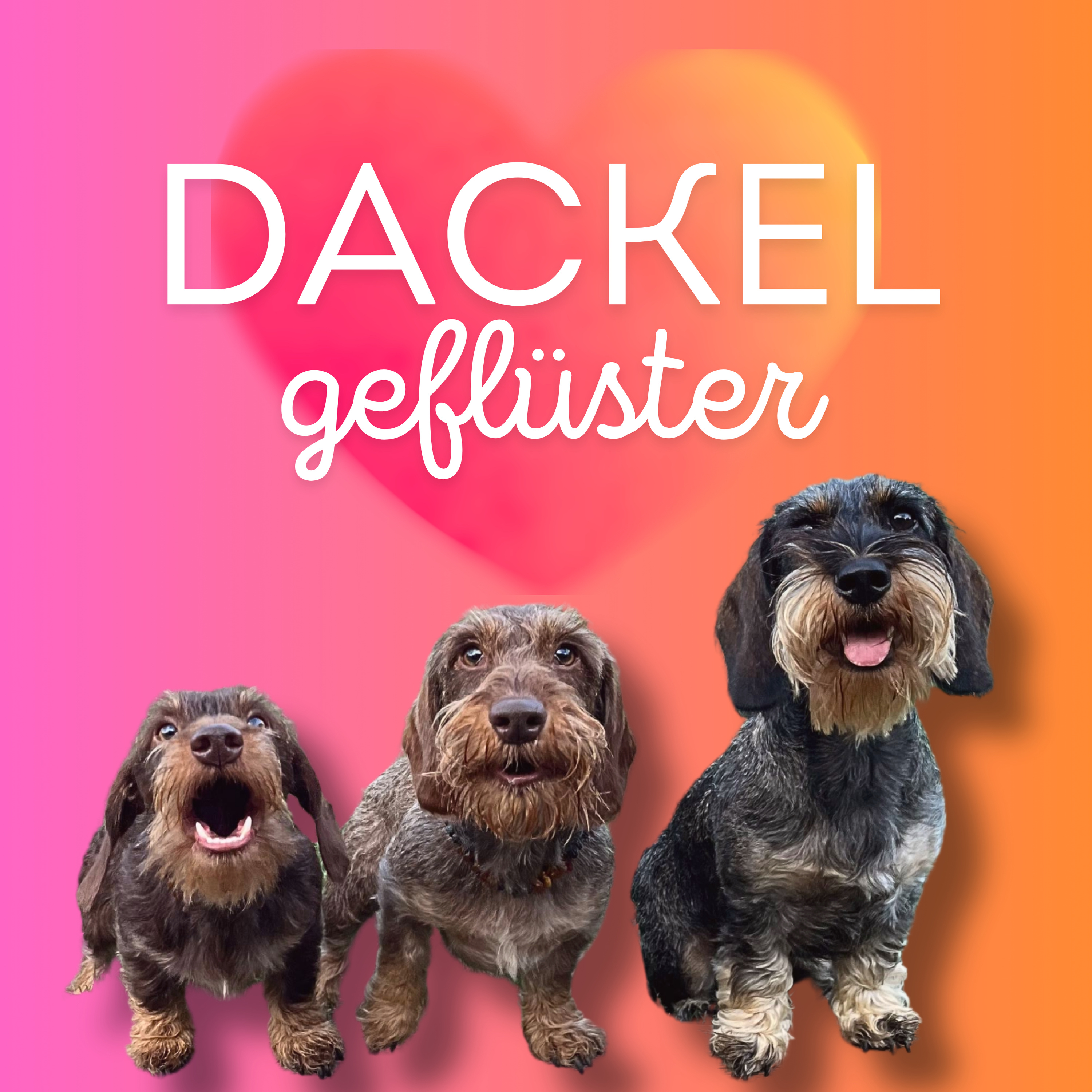 Dackelgeflüster cover art