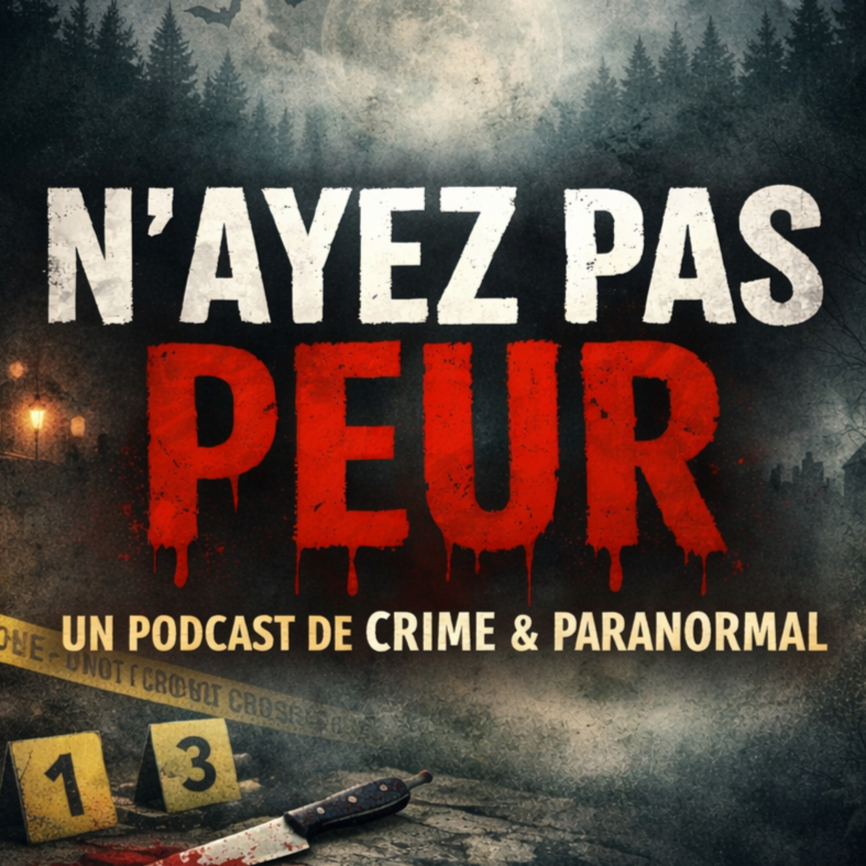 N'ayez pas peur cover art