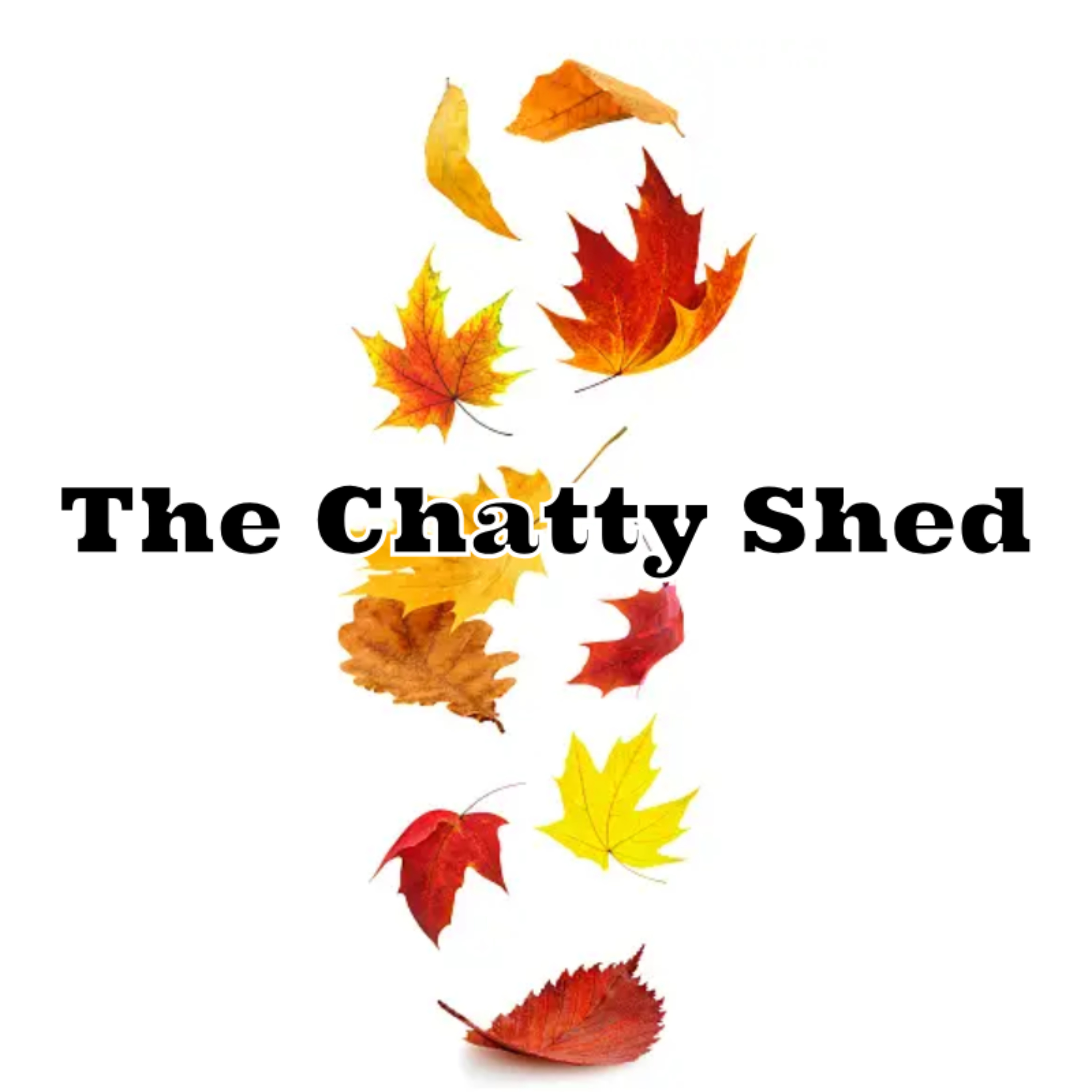 The Chatty Shed