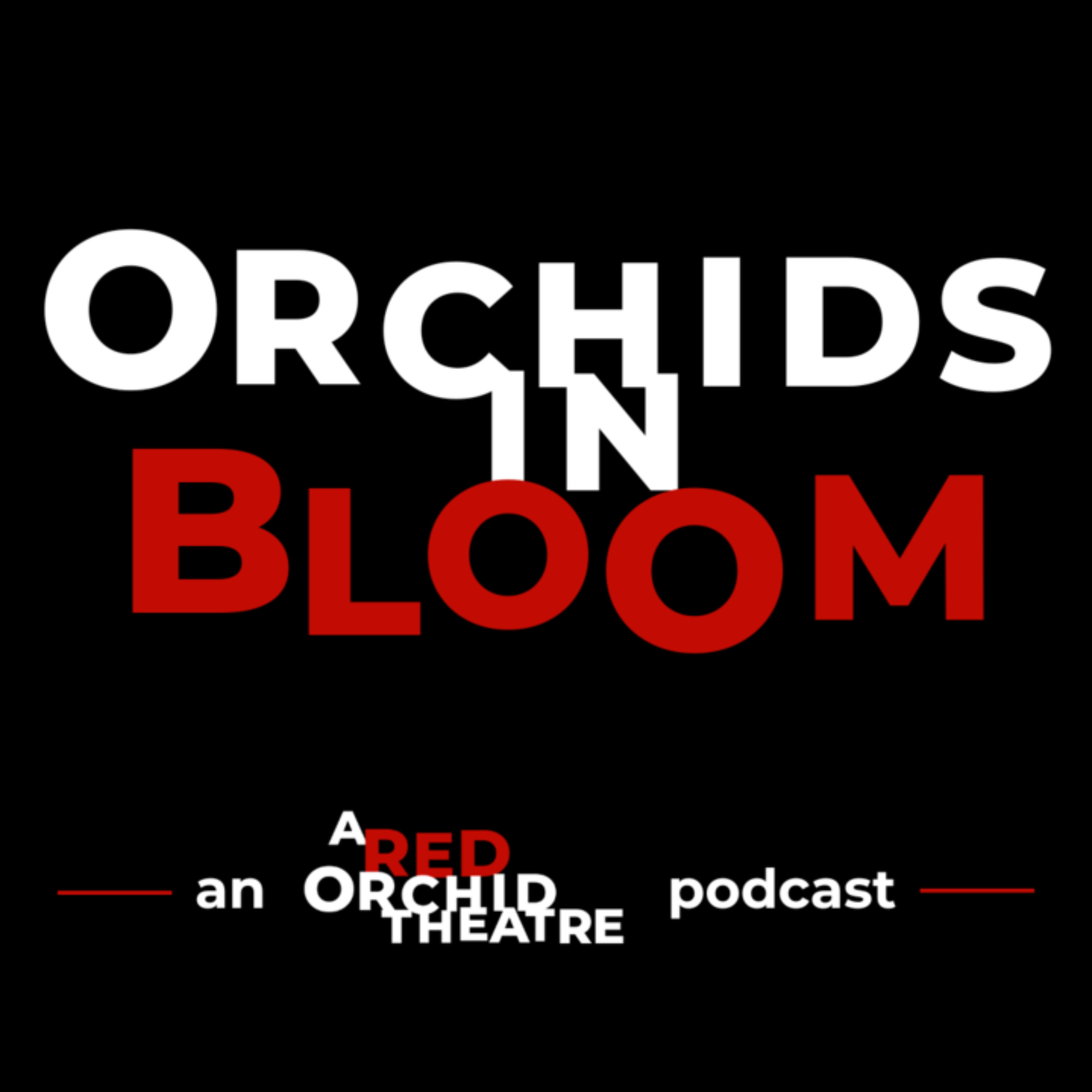 Orchids in Bloom