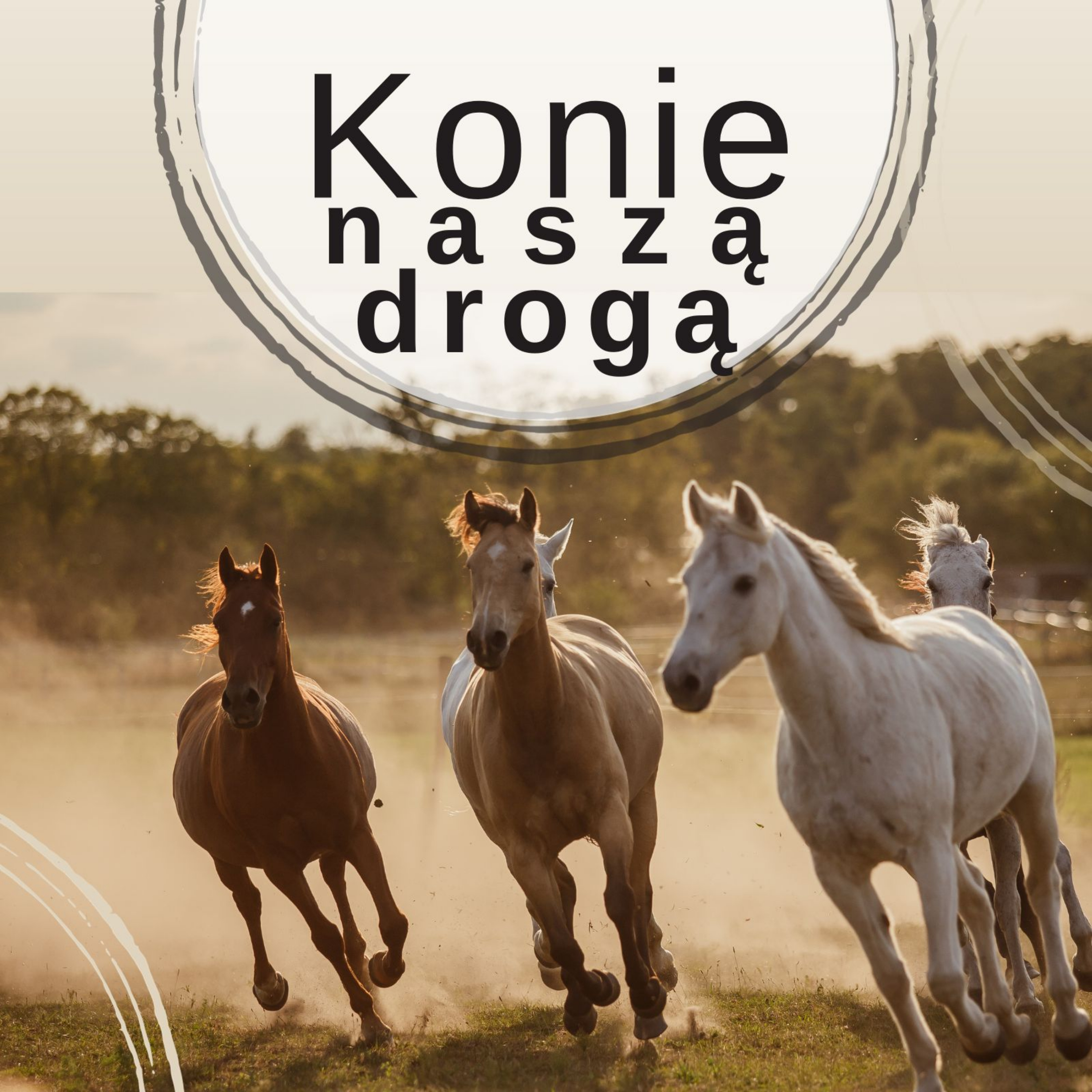 Konie naszą drogą 