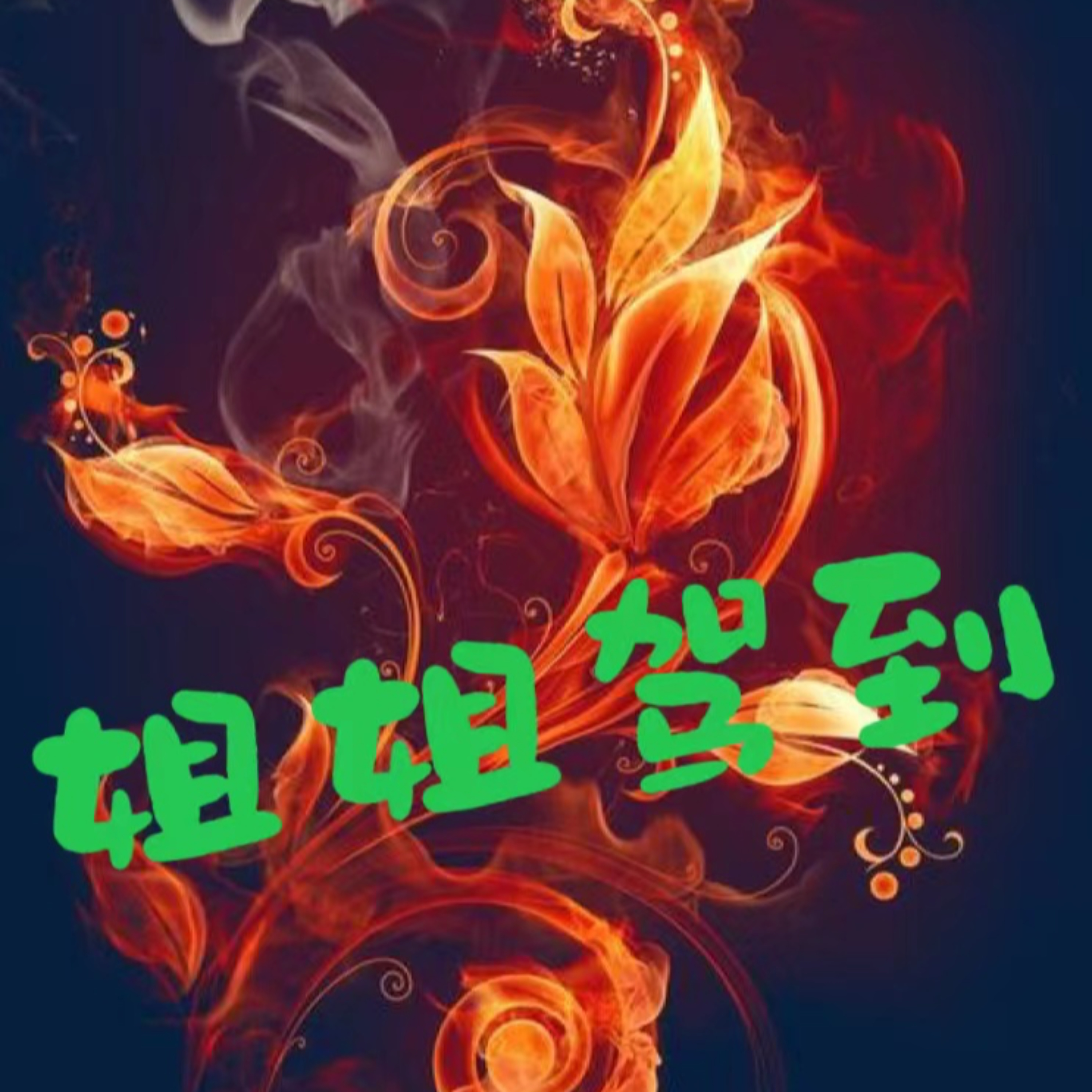 姐姐驾到