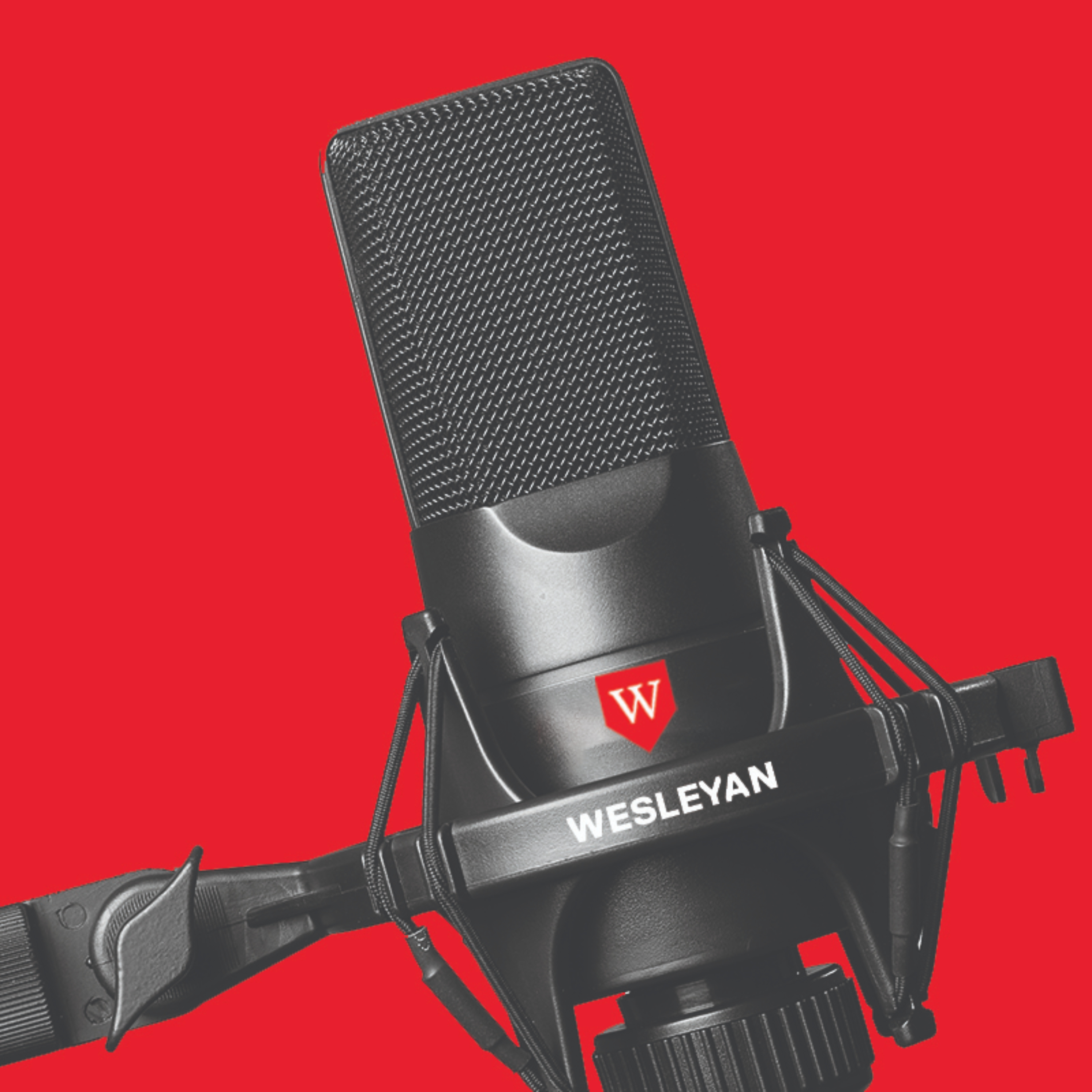 Wesleyan University: Democracy in Action