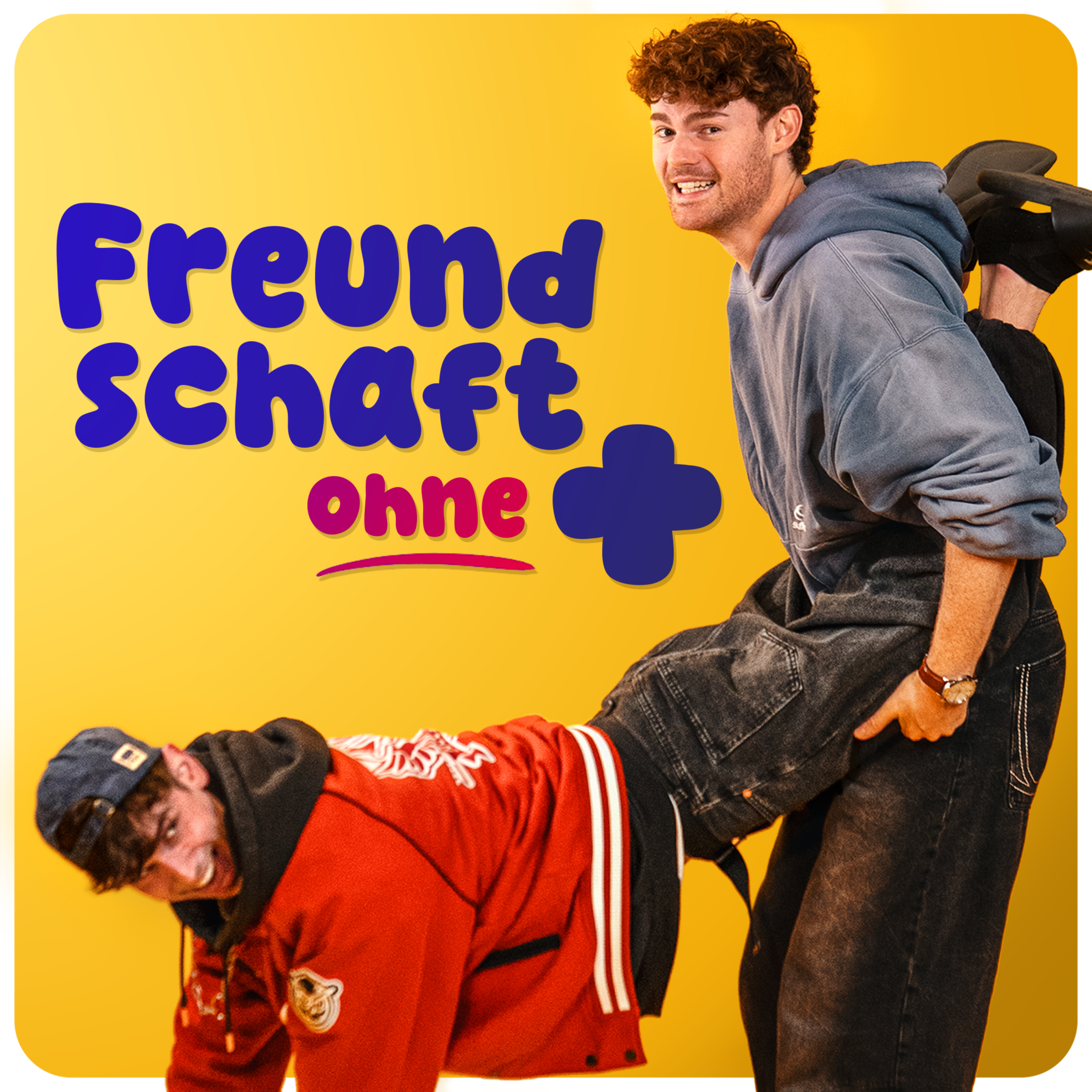 Freundschaft ohne Plus cover