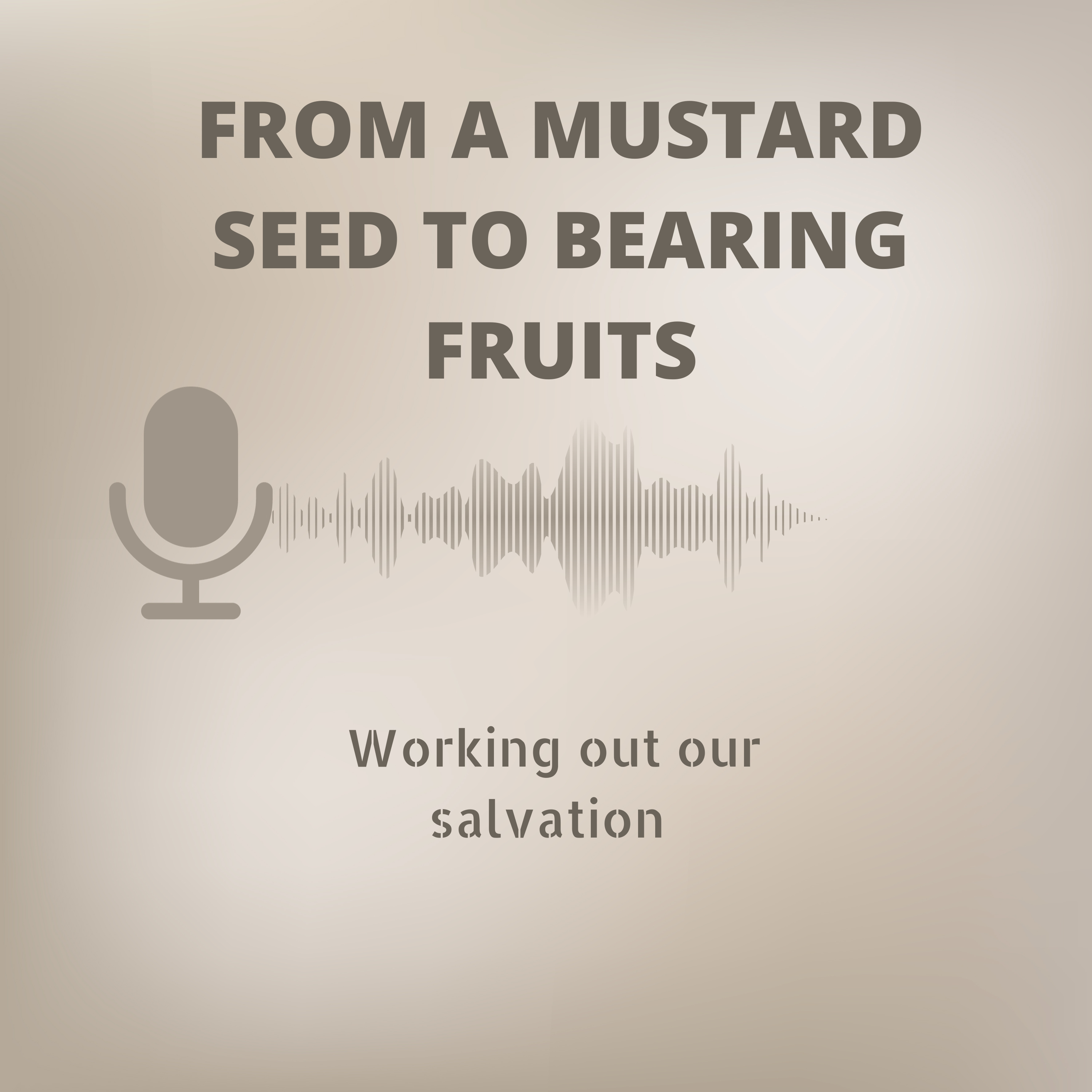 From a Mustard Seed to Bearing Fruits