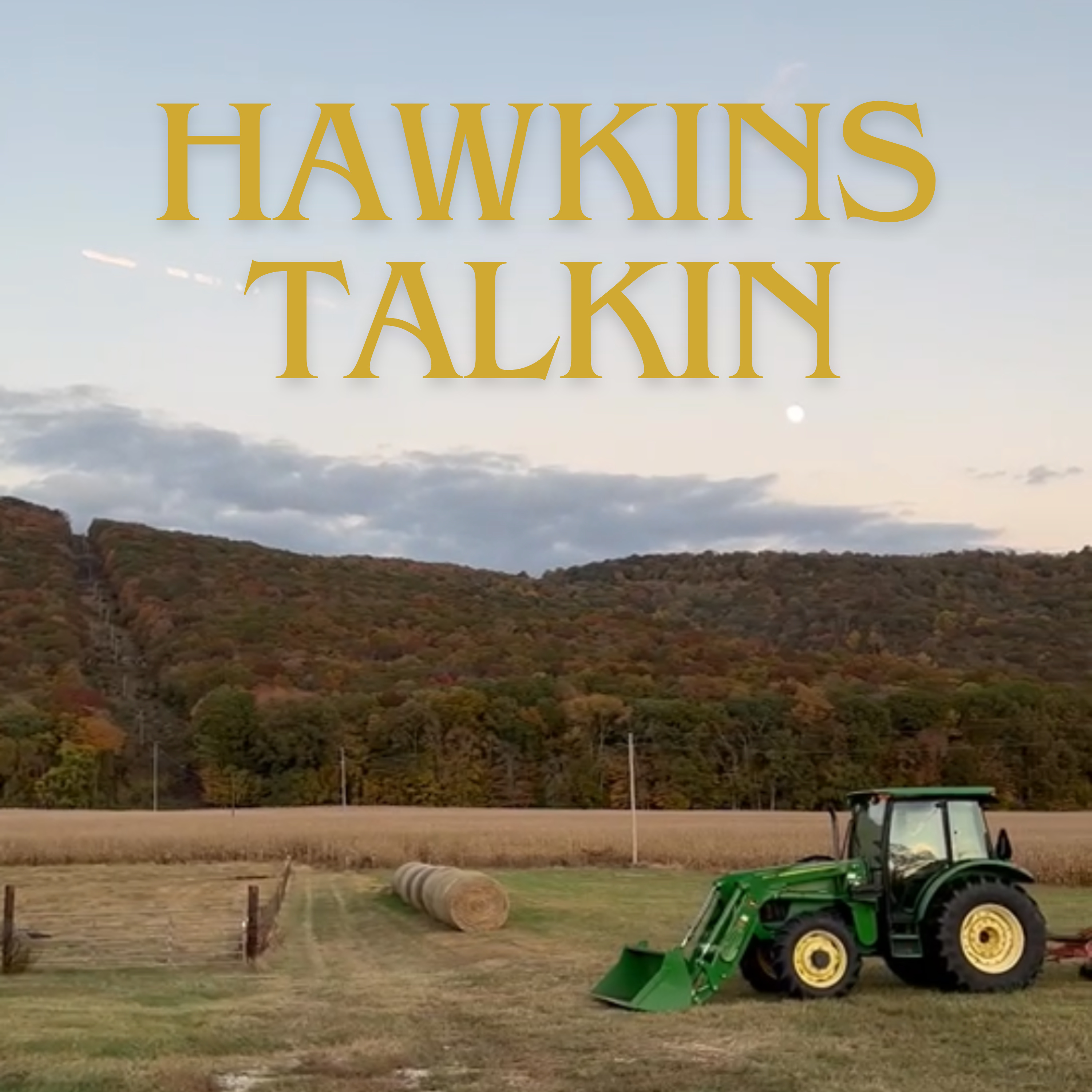 Hawkins Talkin podcast artwork