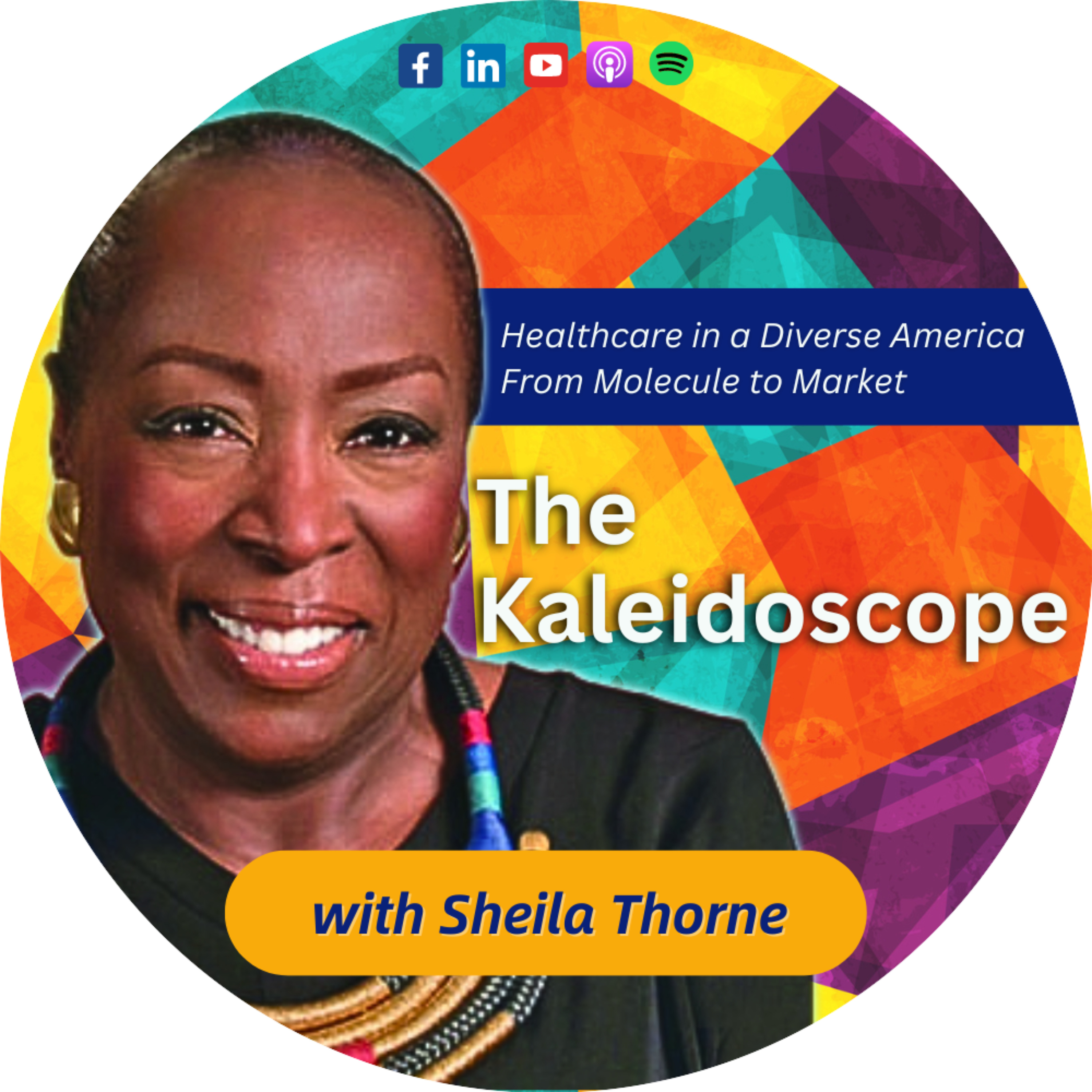 The Kaleidoscope: Healthcare in a Diverse America From Molecule to Market podcast artwork