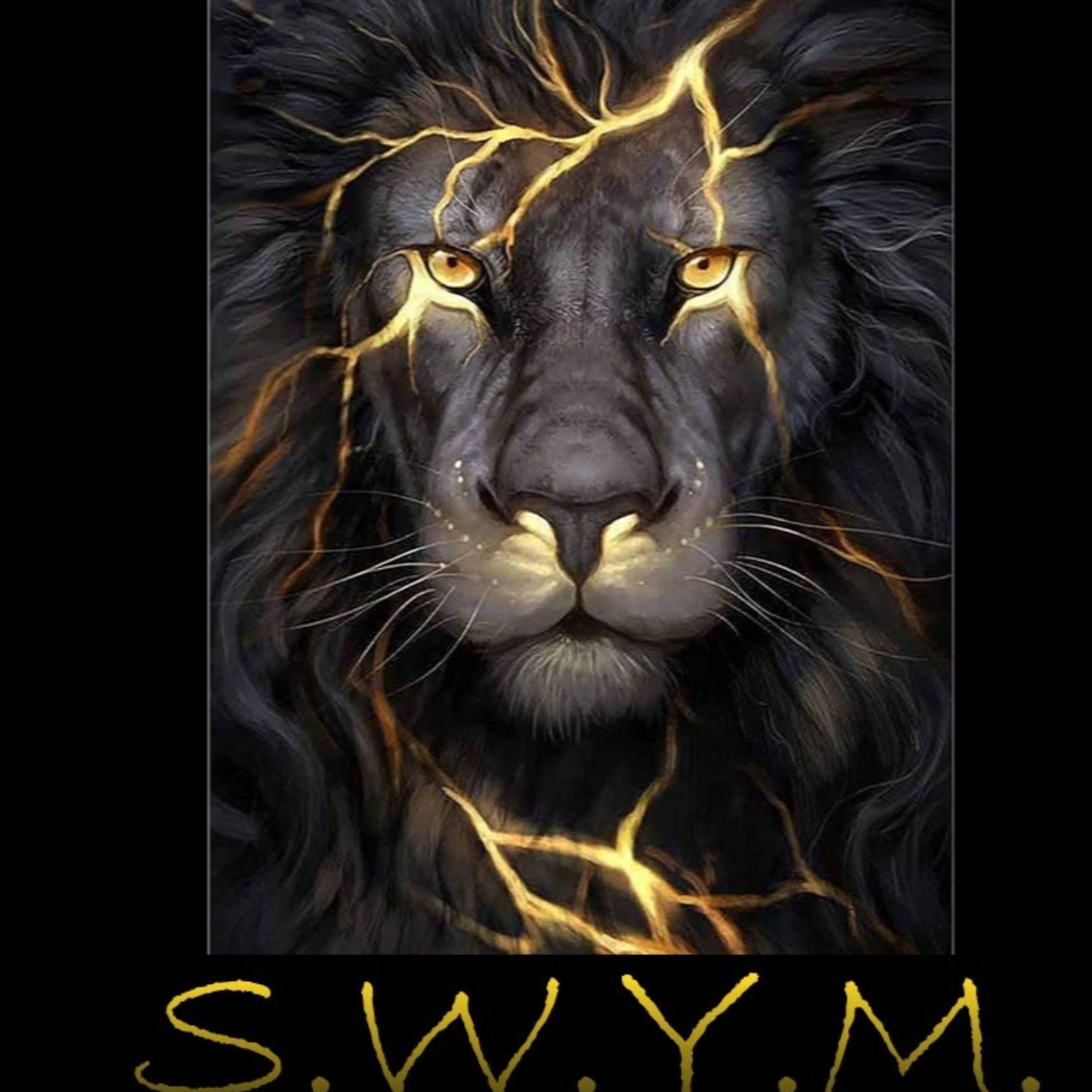 Adult S.W.Y.M. Podcast podcast artwork