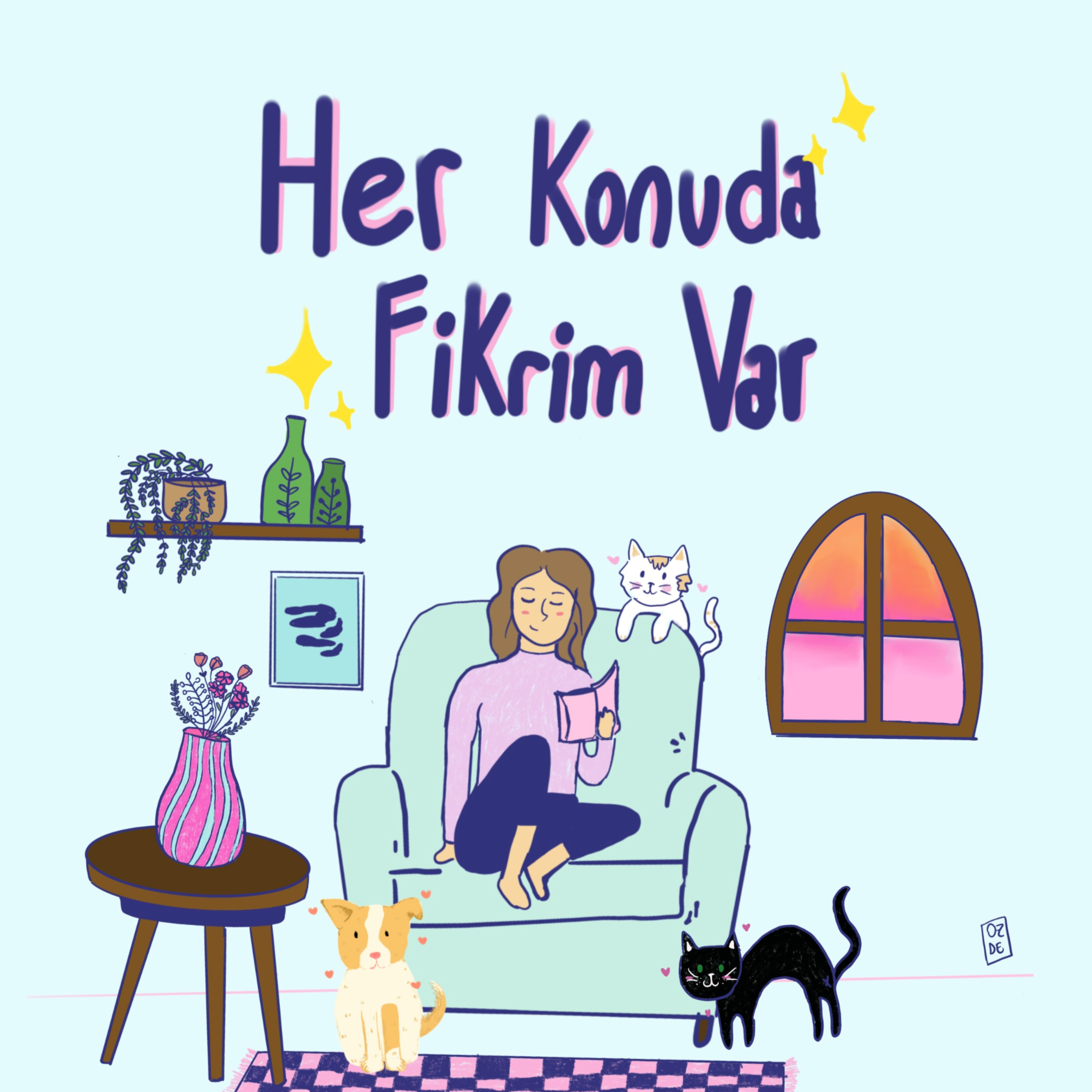 Her Konuda Fikrim Var