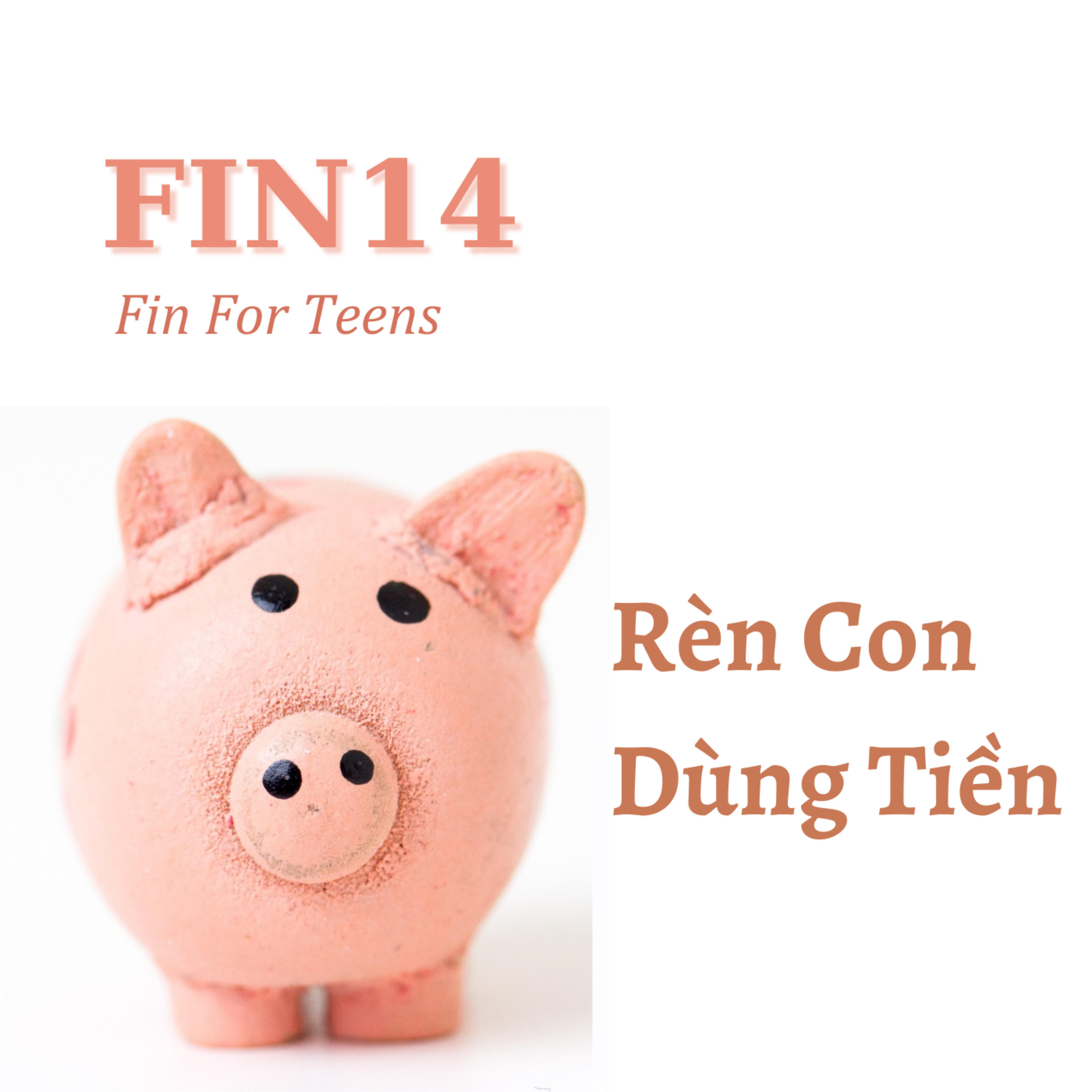 FIN14 - Rèn con dùng tiền