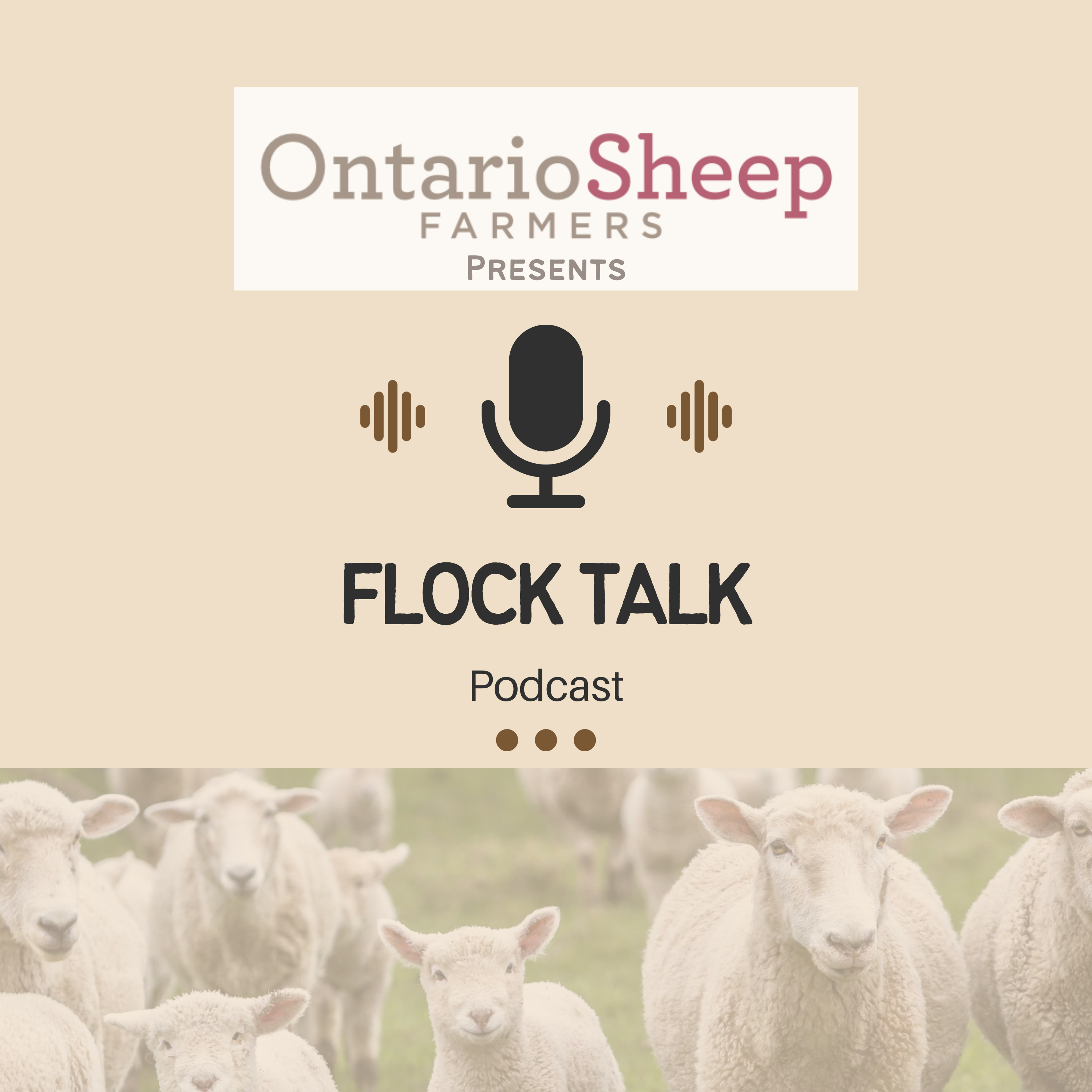 Flock Talk
