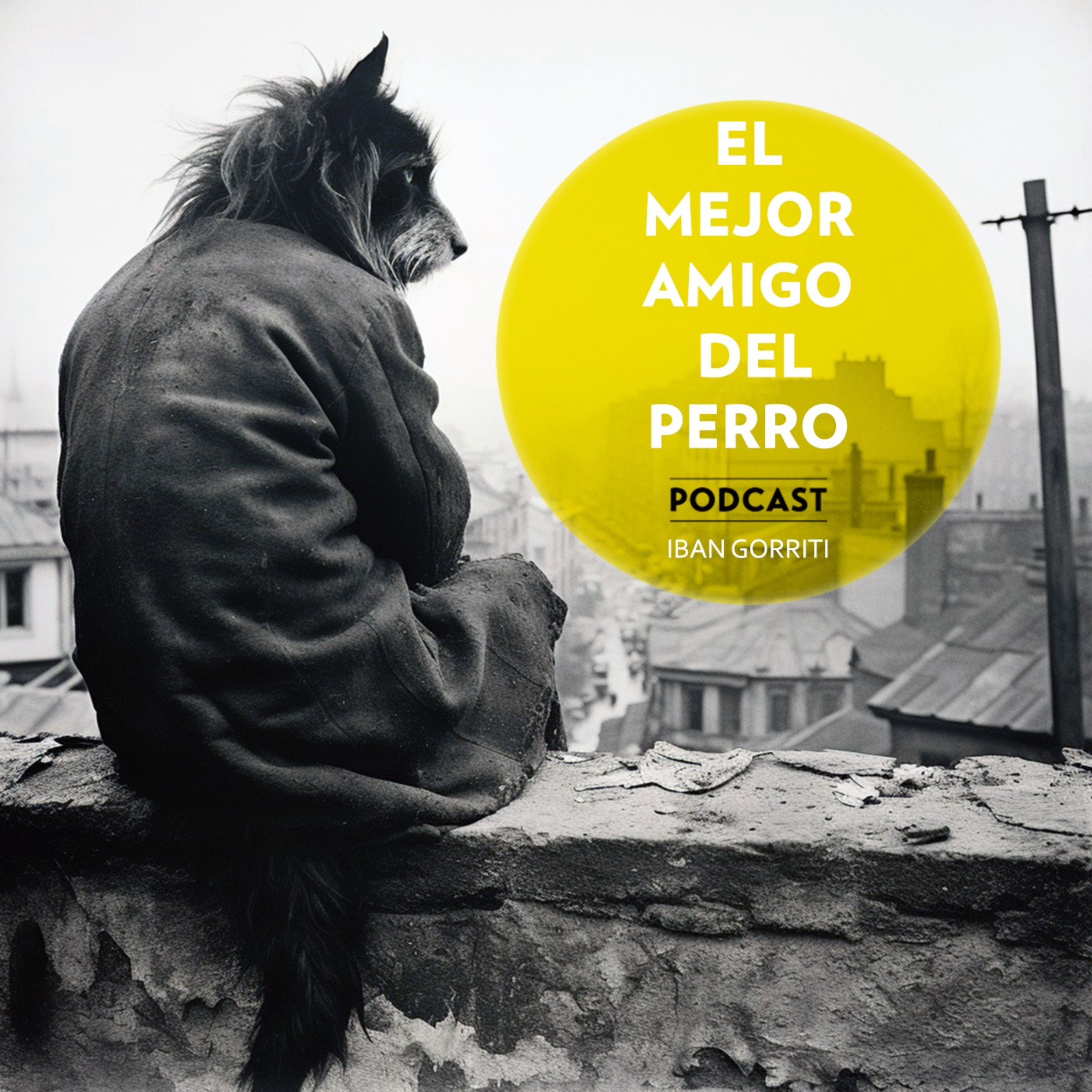 El Mejor Amigo del Perro