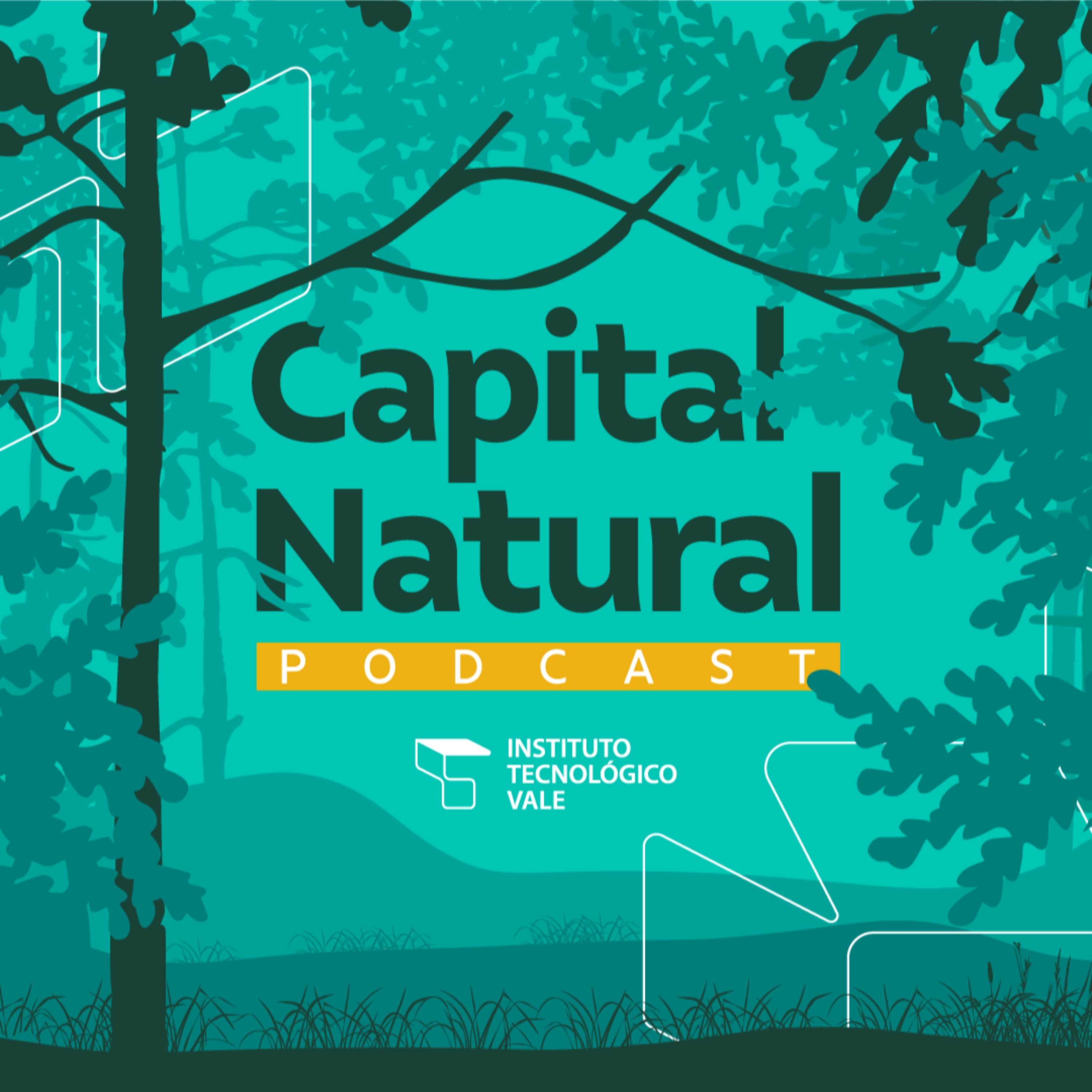 Capital Natural Capital Natural