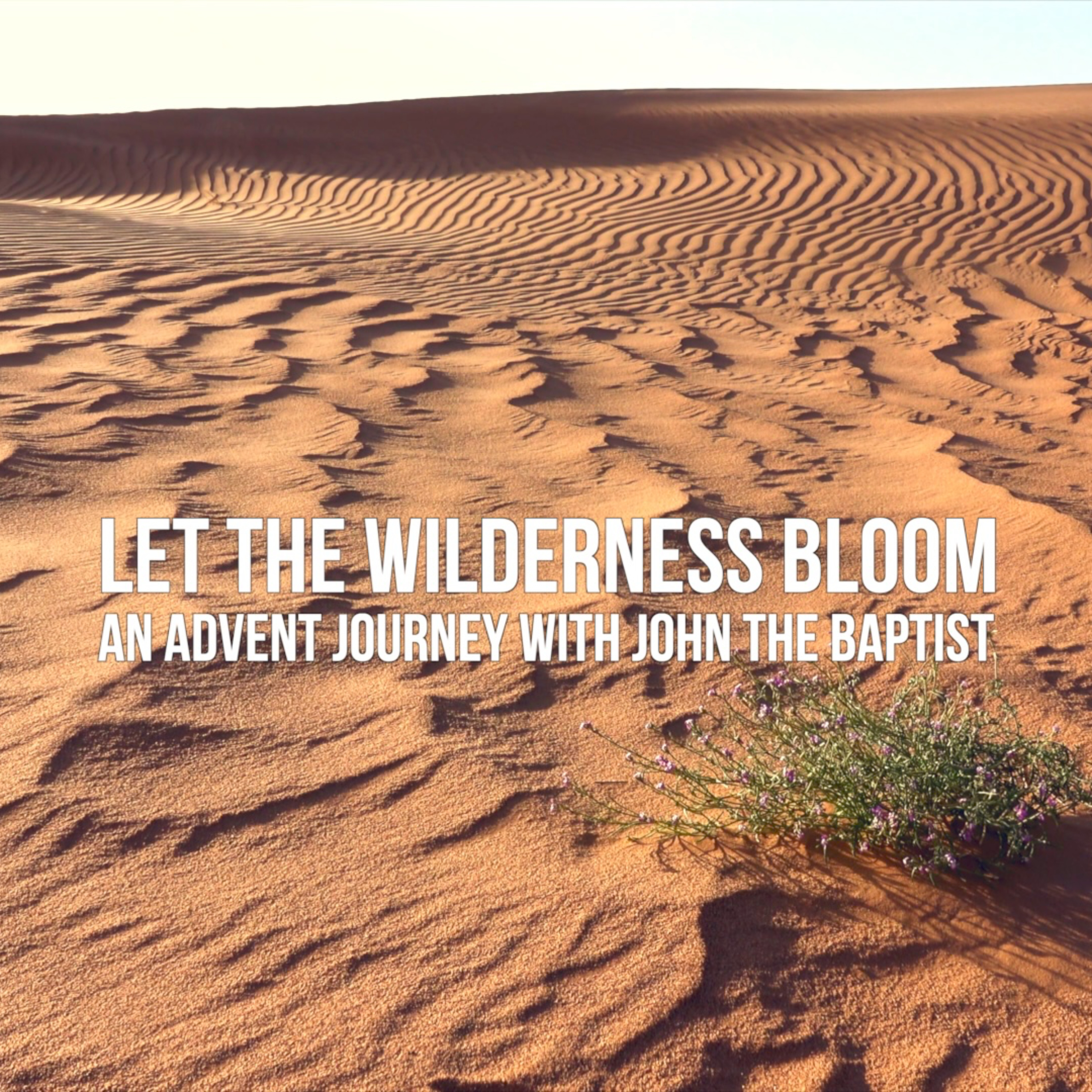 Let the wilderness bloom podcast artwork