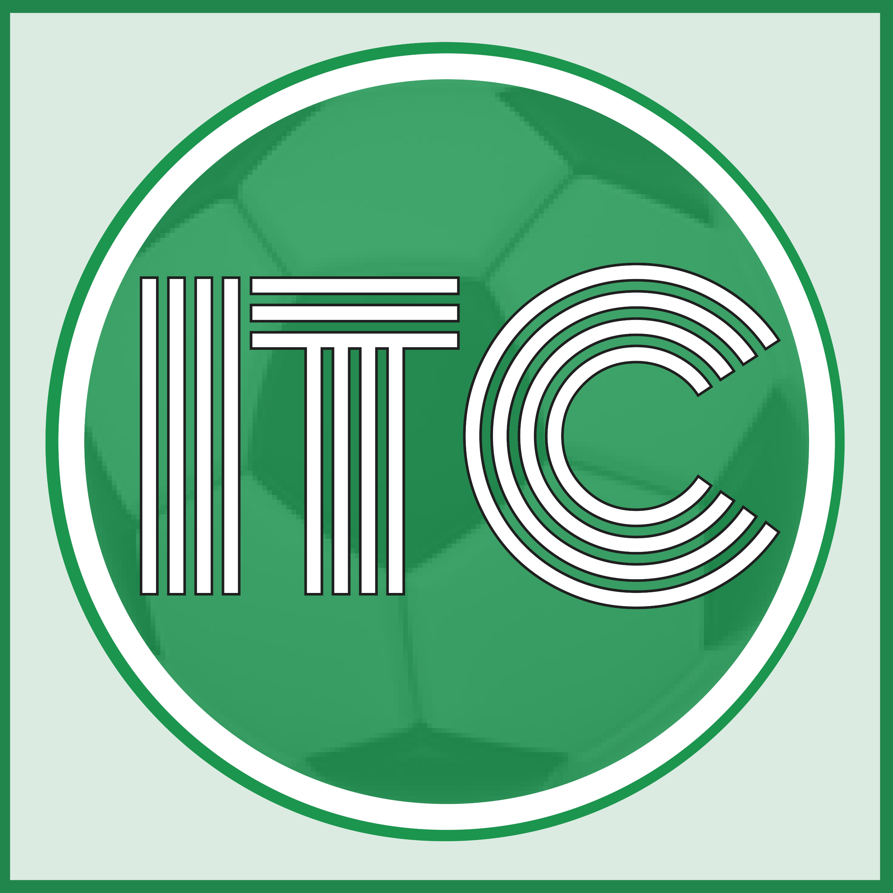 Into the Channel ⚽️ A Podcast Primarily About Women's Football