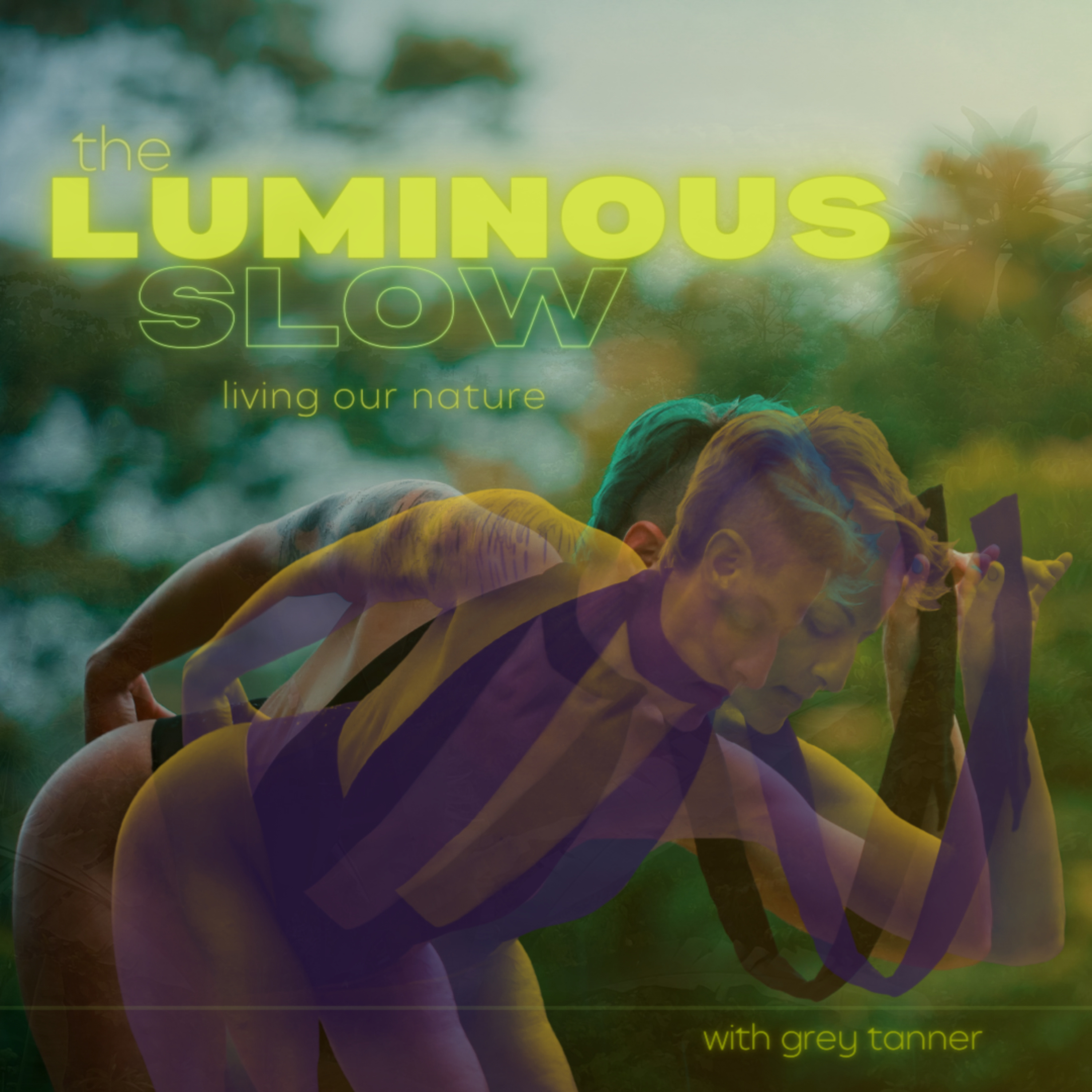 the luminous slow
