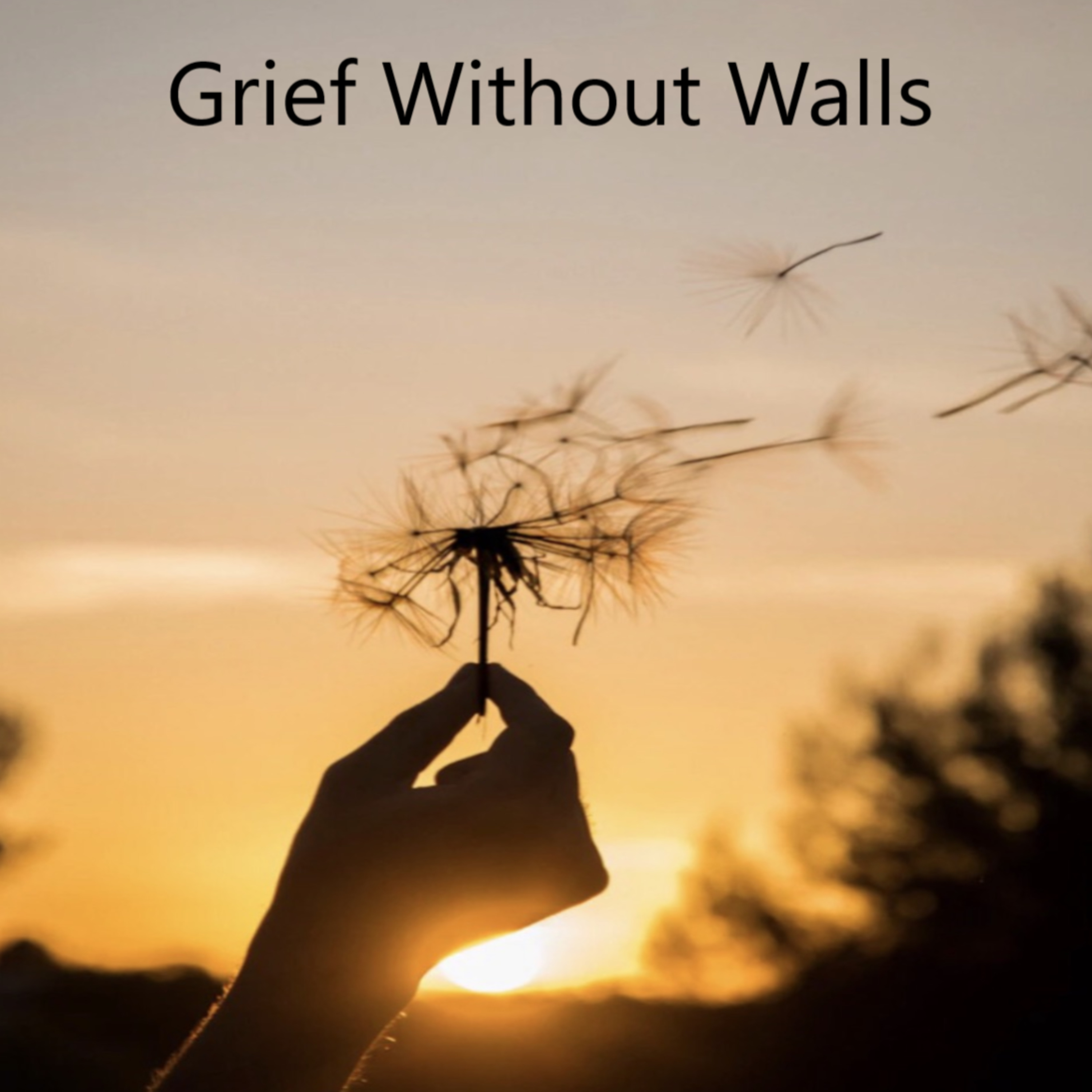 Grief Without Walls. How to find hope in life after the passing of adult sons to suicide. 