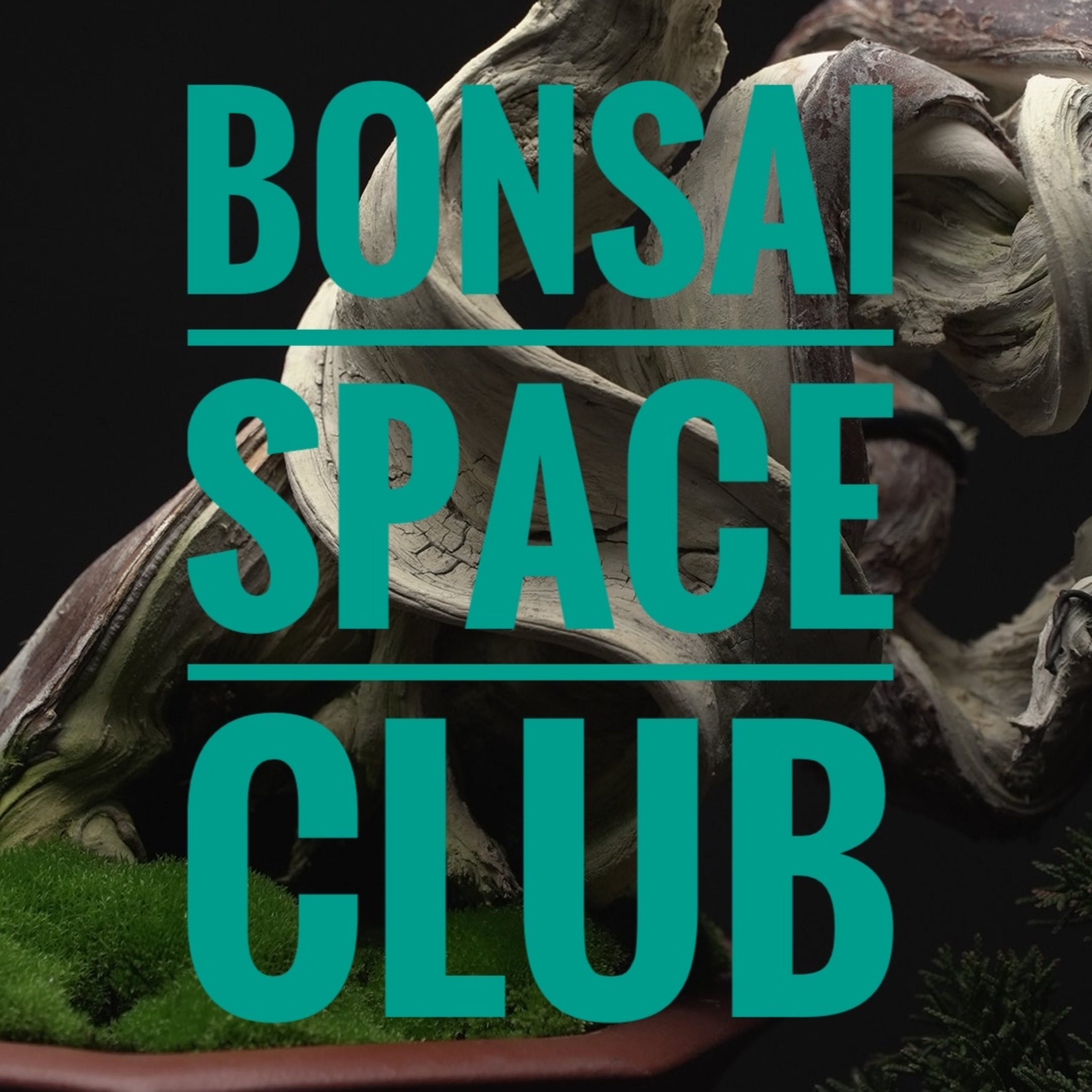 BONSAI SPACE CLUB / ボンサイスペースクラブ