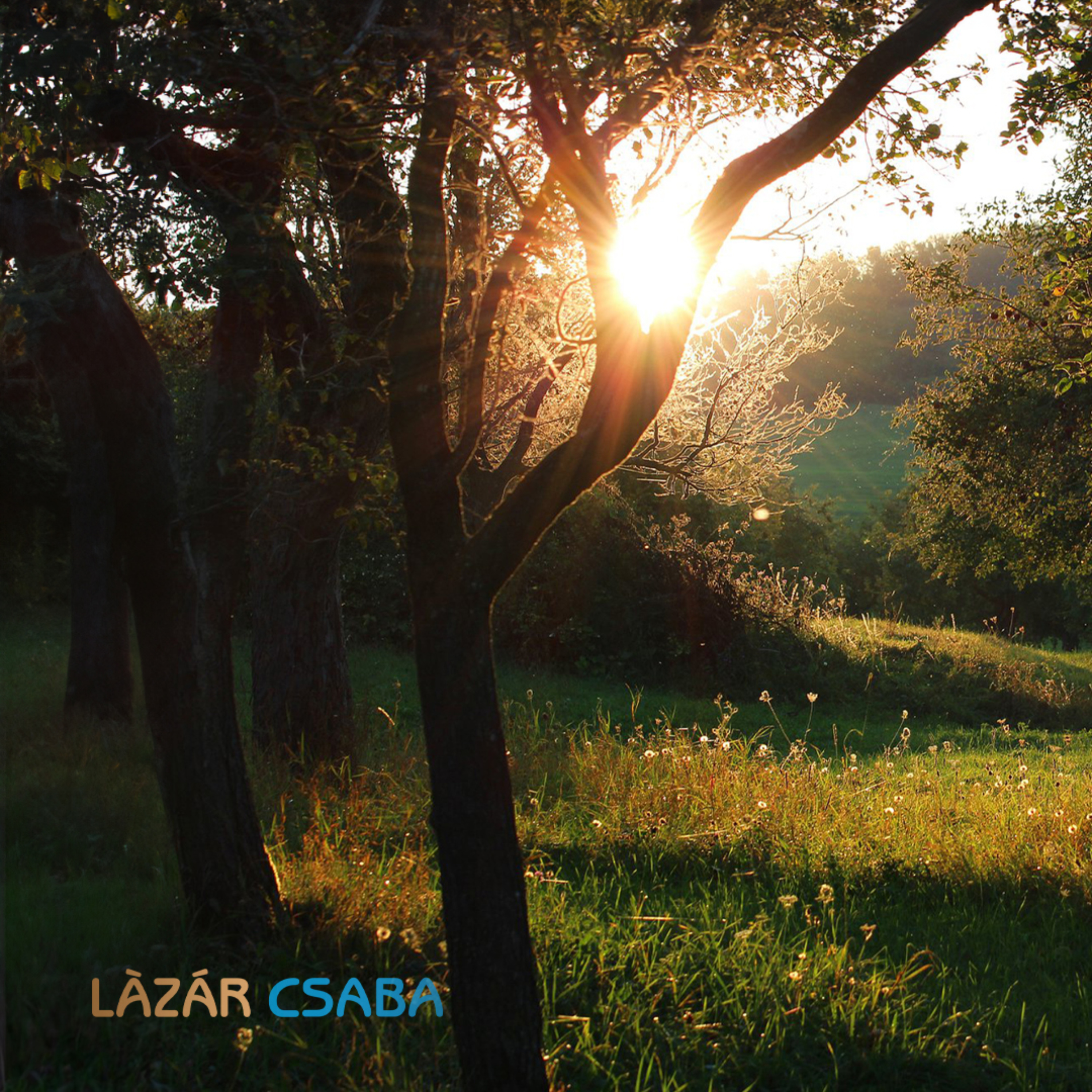 Làzár Csaba (HUN) podcast artwork