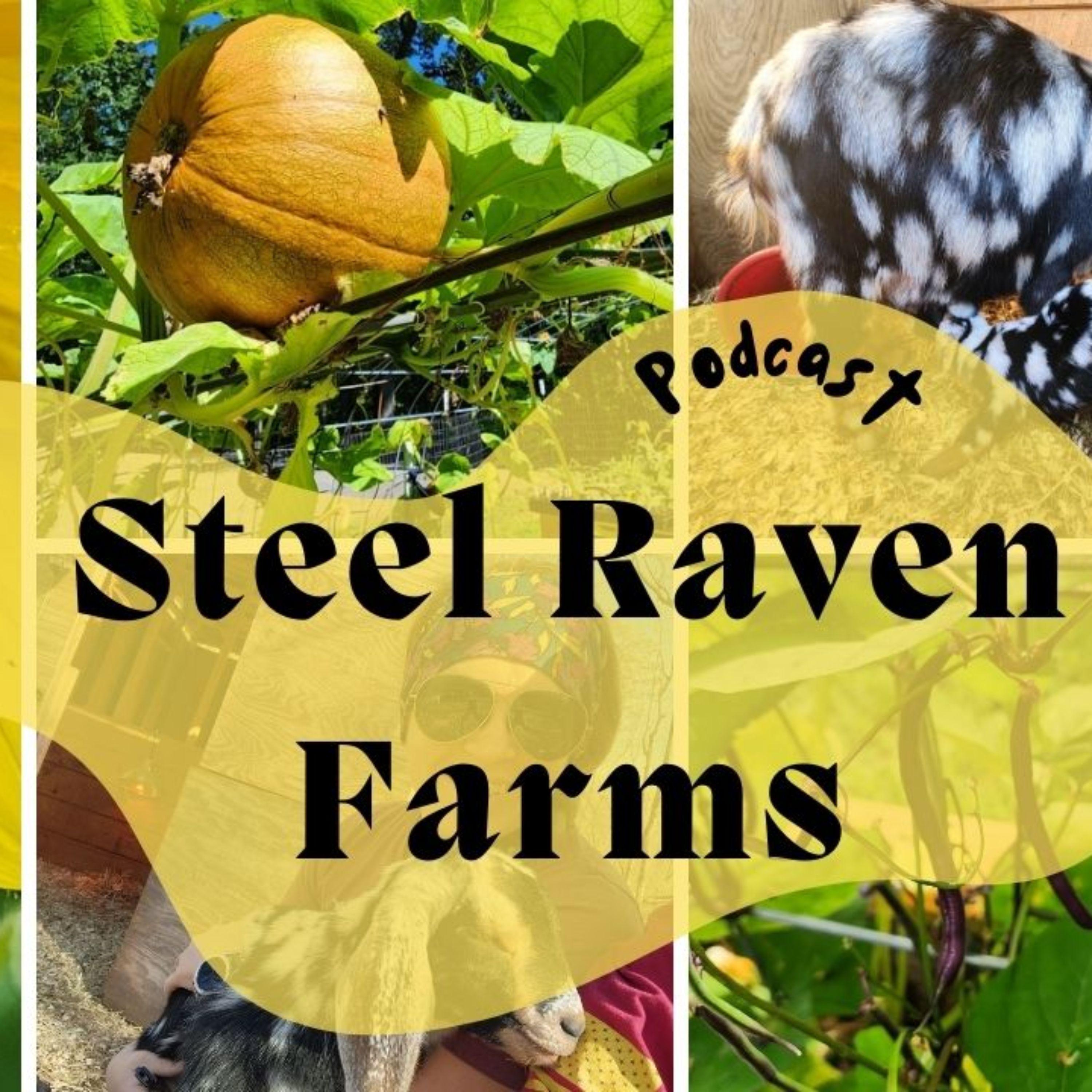 The Reason You NEED A Seed Inventory!!!!